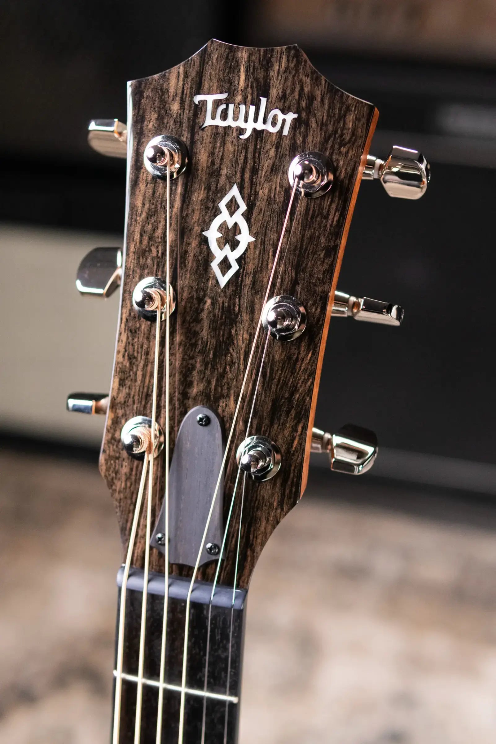 Taylor Next Generation 514ce Grand Auditorium Acoustic/Electric Guitar with Hardshell Case - Factory Demo