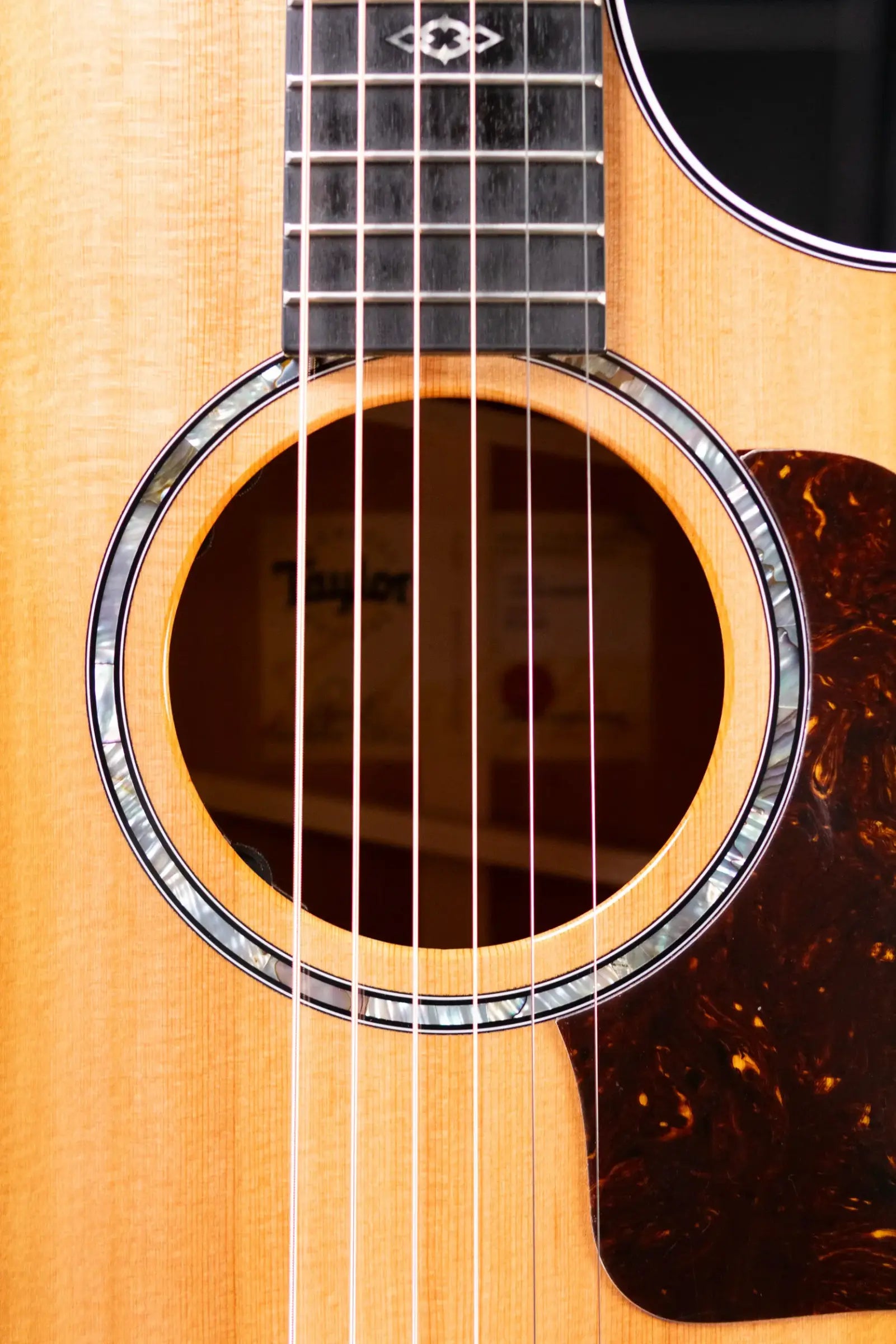 Taylor Next Generation 514ce Grand Auditorium Acoustic/Electric Guitar with Hardshell Case - Factory Demo