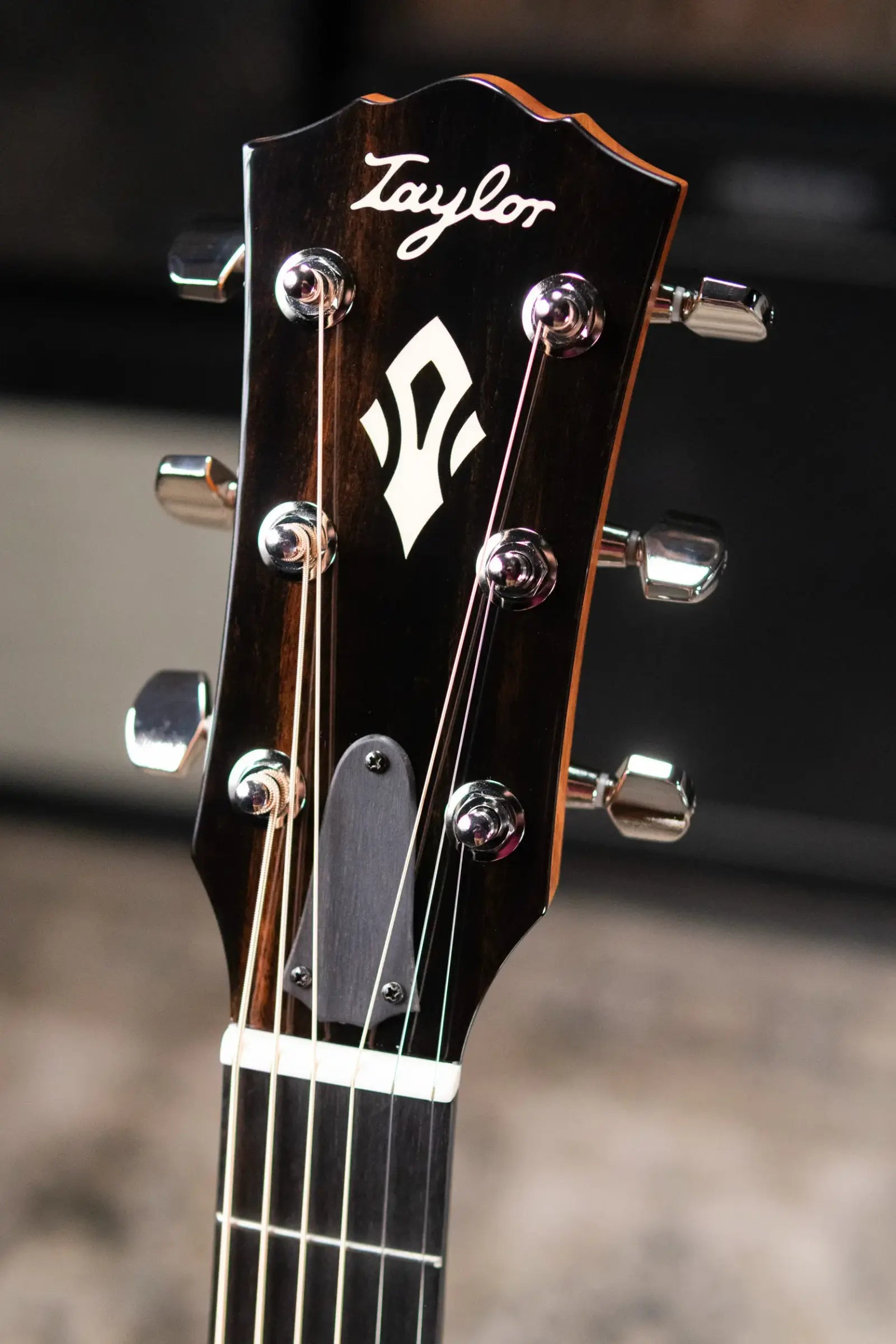 Taylor Gold Label 512e Grand Concert Acoustic/Electric Guitar - Natural with Hardshell Case