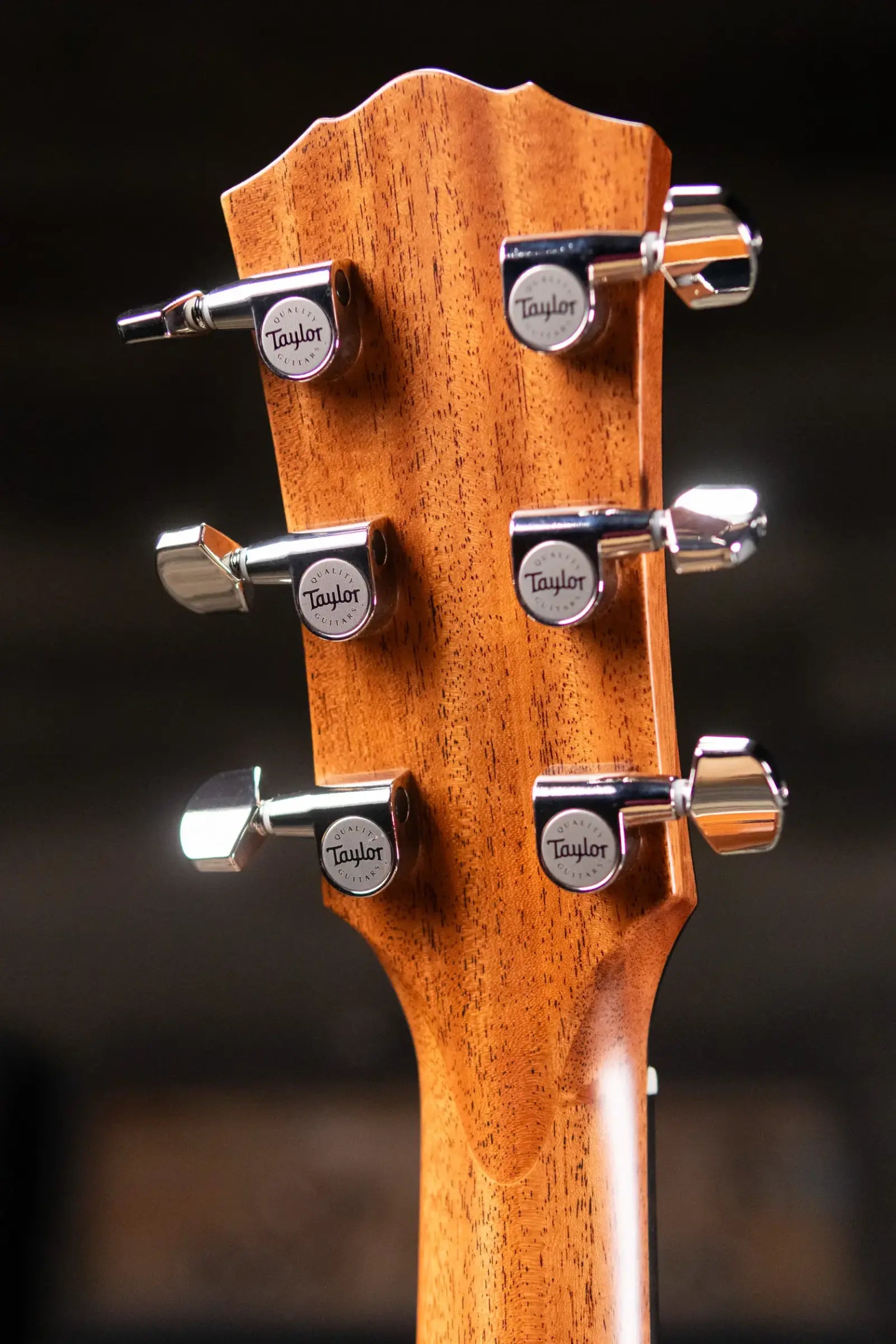 Taylor Gold Label 512e Grand Concert Acoustic/Electric Guitar - Natural with Hardshell Case