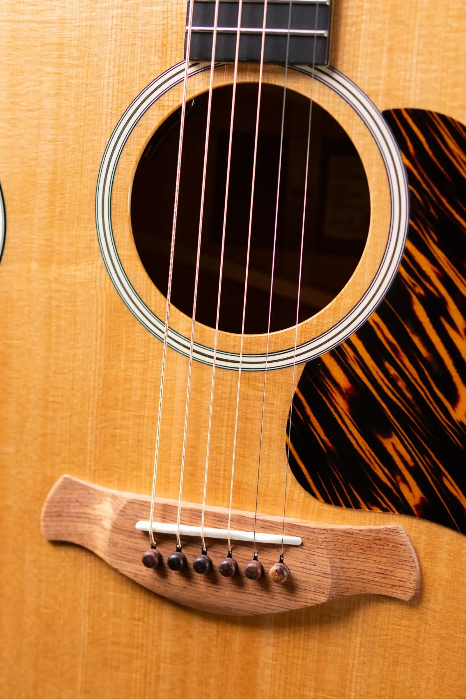 Taylor Gold Label 512e Grand Concert Acoustic/Electric Guitar - Natural with Hardshell Case