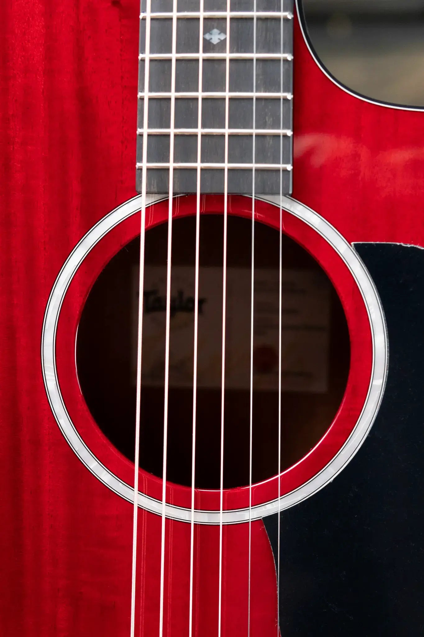 Taylor 224ce Plus Special Edition Grand Auditorium Acoustic/Electric Guitar - Trans Red Top with Aerocase