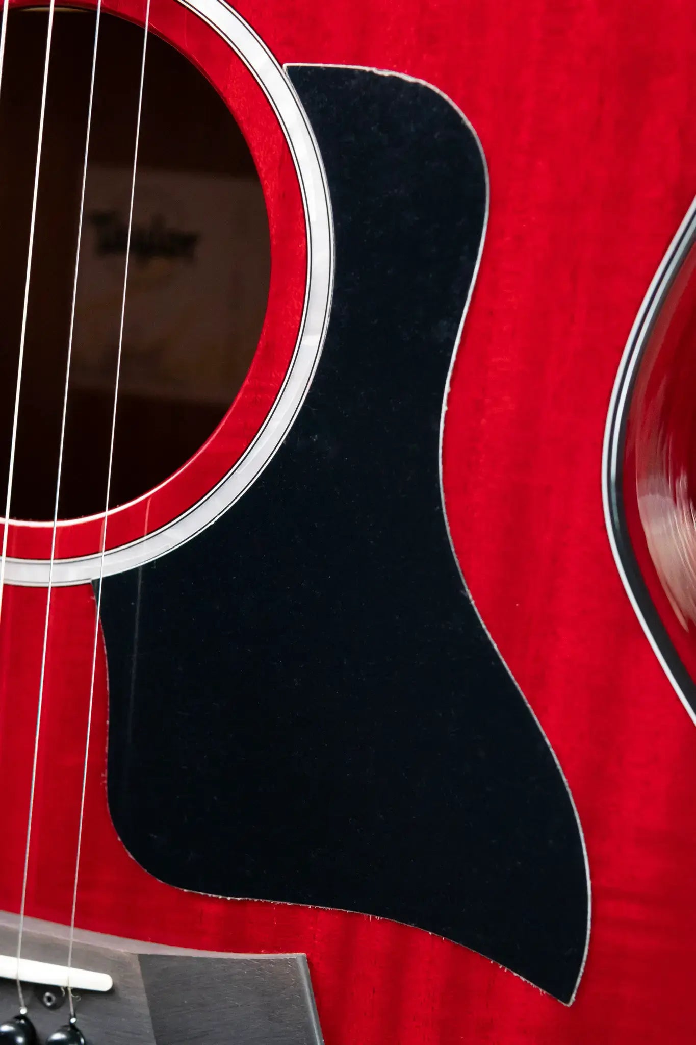 Taylor 224ce Plus Special Edition Grand Auditorium Acoustic/Electric Guitar - Trans Red Top with Aerocase