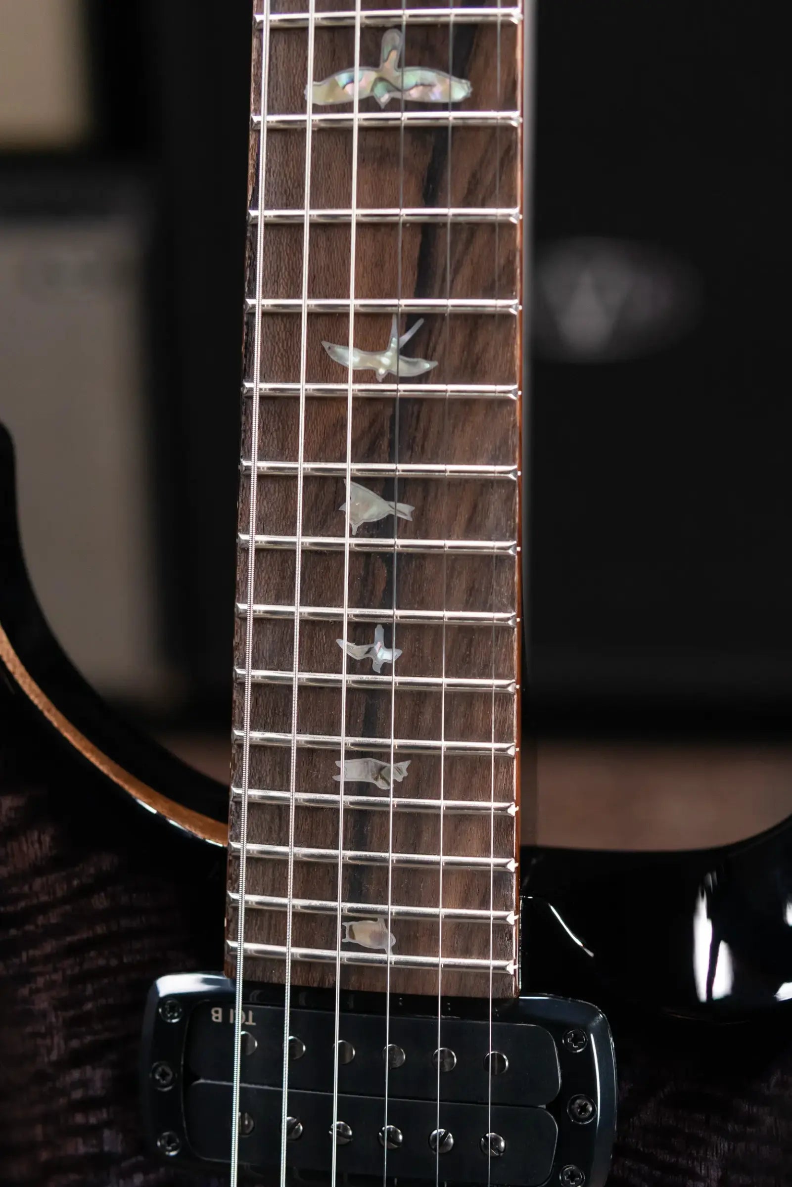 PRS Custom 24-08 Mango Top Limited Edition Electric Guitar - Purple Mist with Hardshell Case