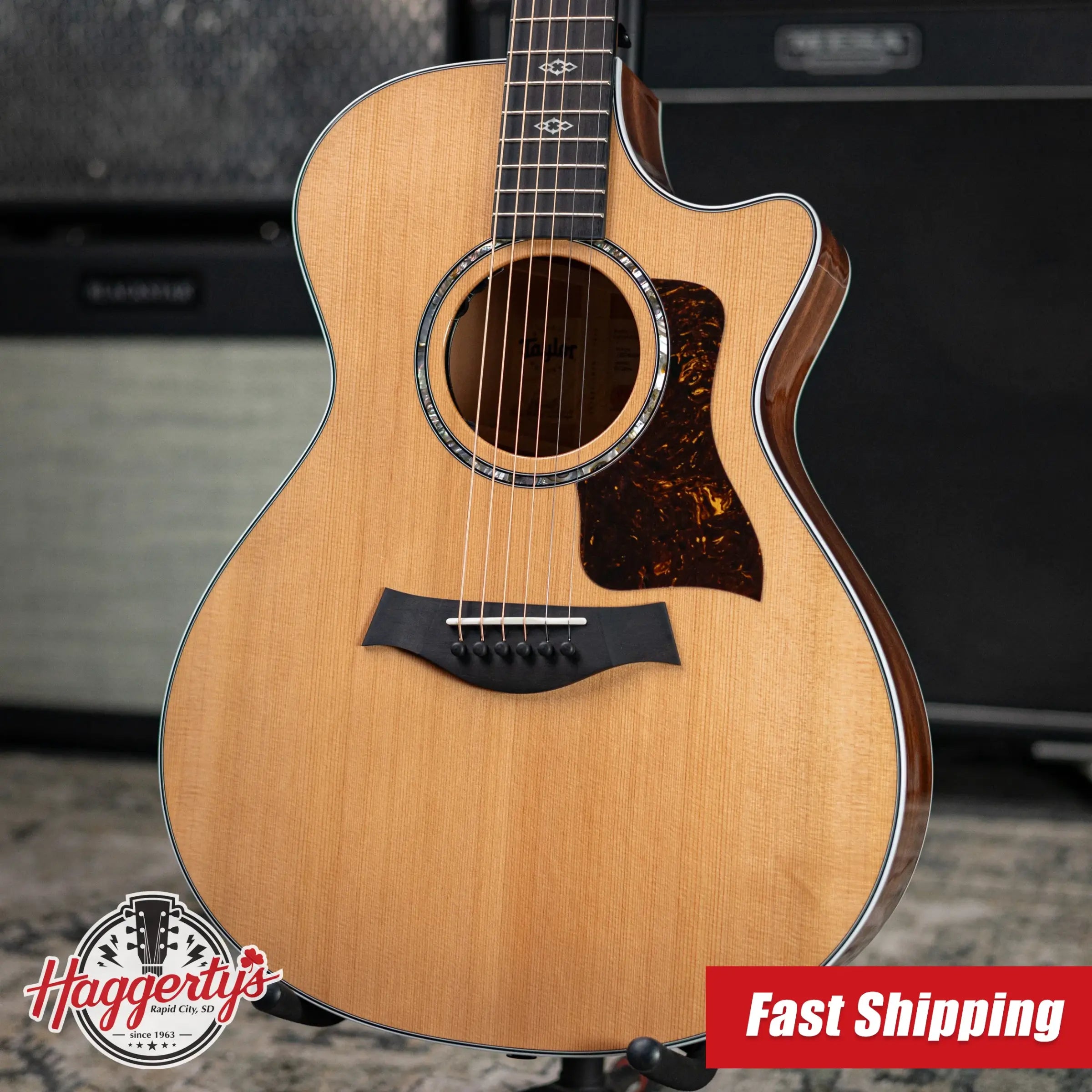 Taylor Next Generation 512ce Grand Concert Acoustic/Electric Guitar with Hardshell Case