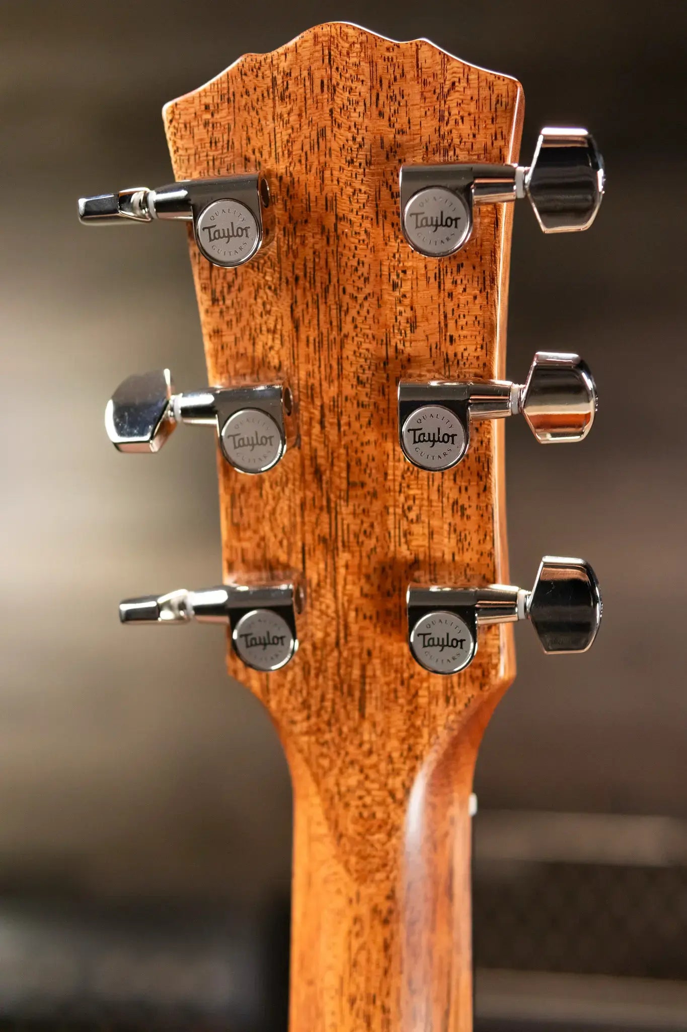 Taylor Gold Label 517e SB Firestripe Pickguard Grand Pacific Acoustic/Electric Guitar - Burst Top with Hardshell Case