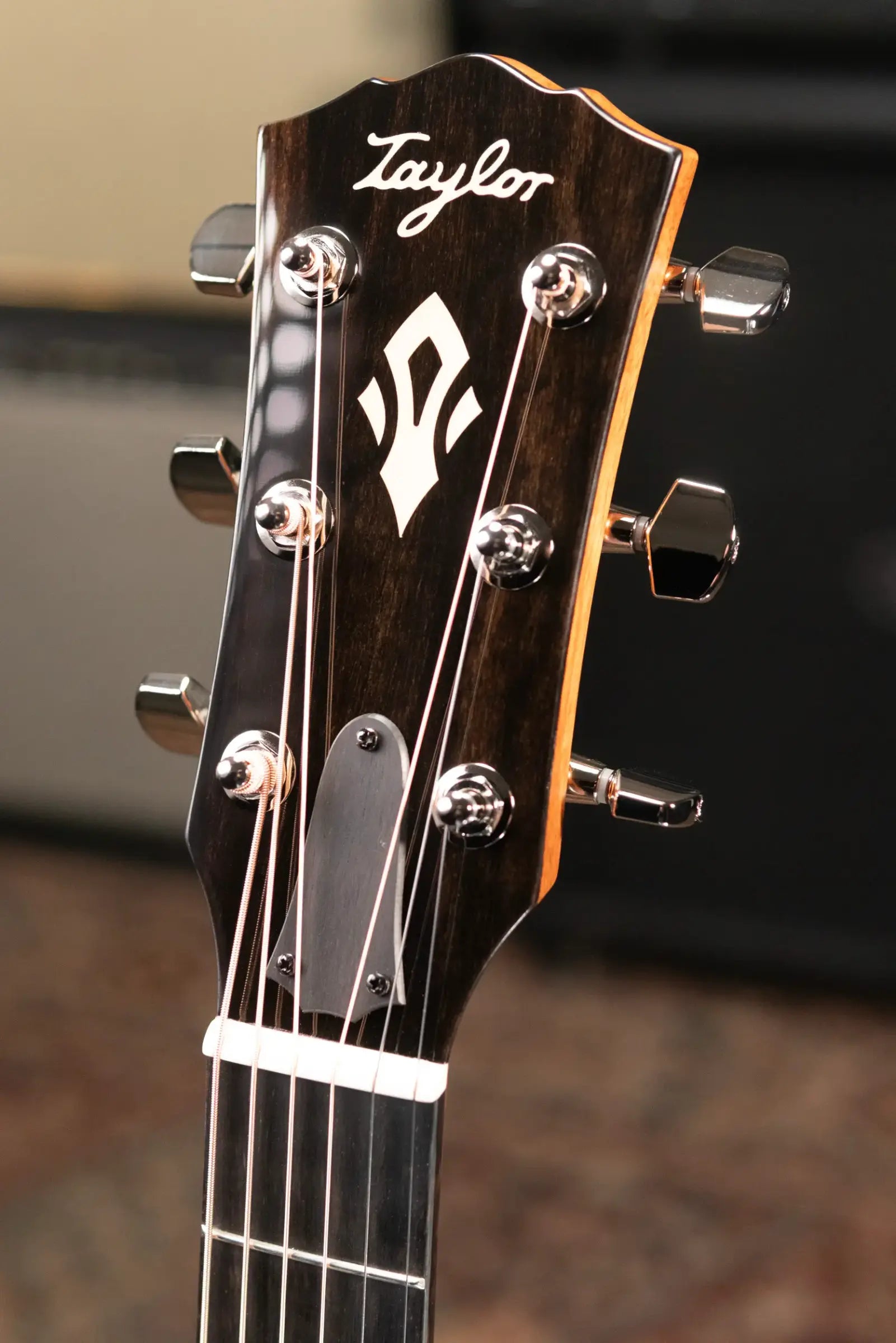 Taylor Gold Label 717e Grand Pacific Acoustic/Electric Guitar with Hardshell Case