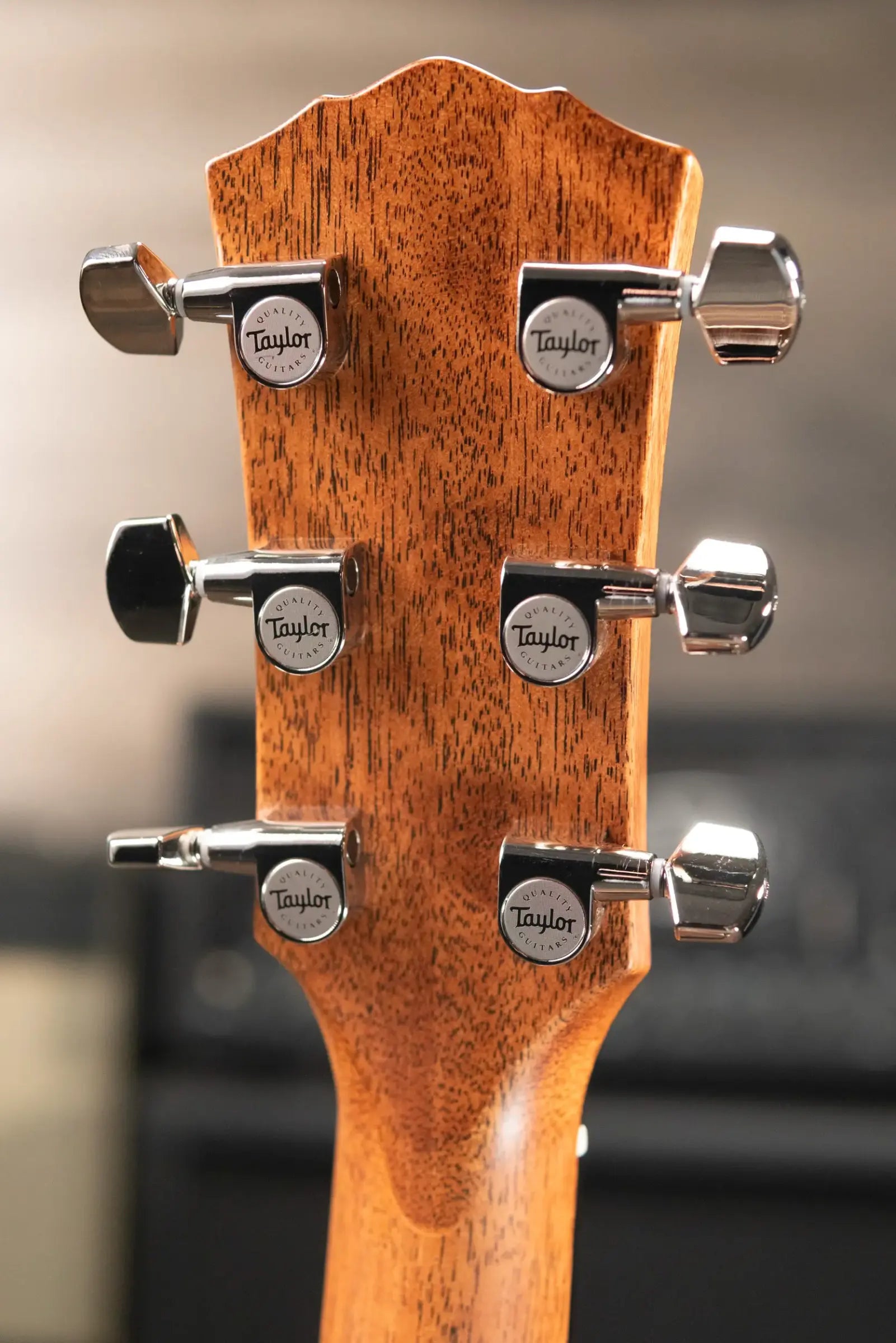 Taylor Gold Label 717e Grand Pacific Acoustic/Electric Guitar with Hardshell Case