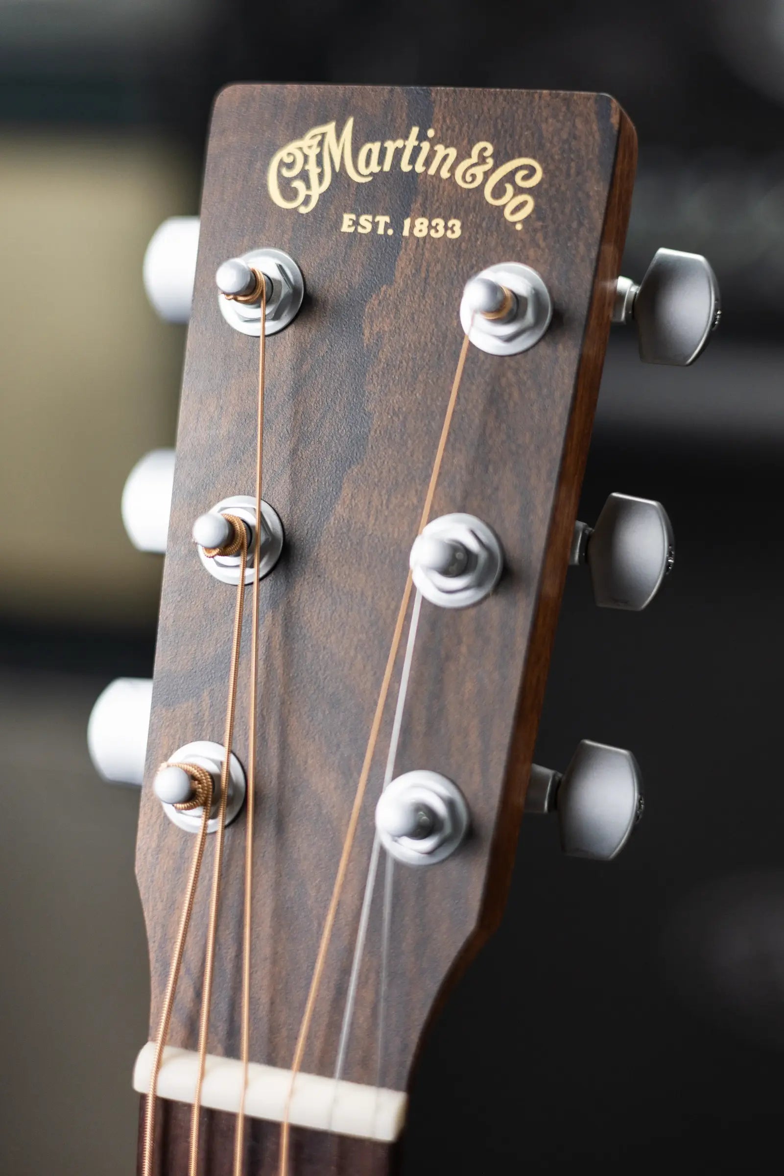 Martin GP-X2E Ziricote Special Acoustic/Electric Guitar with Gig Bag