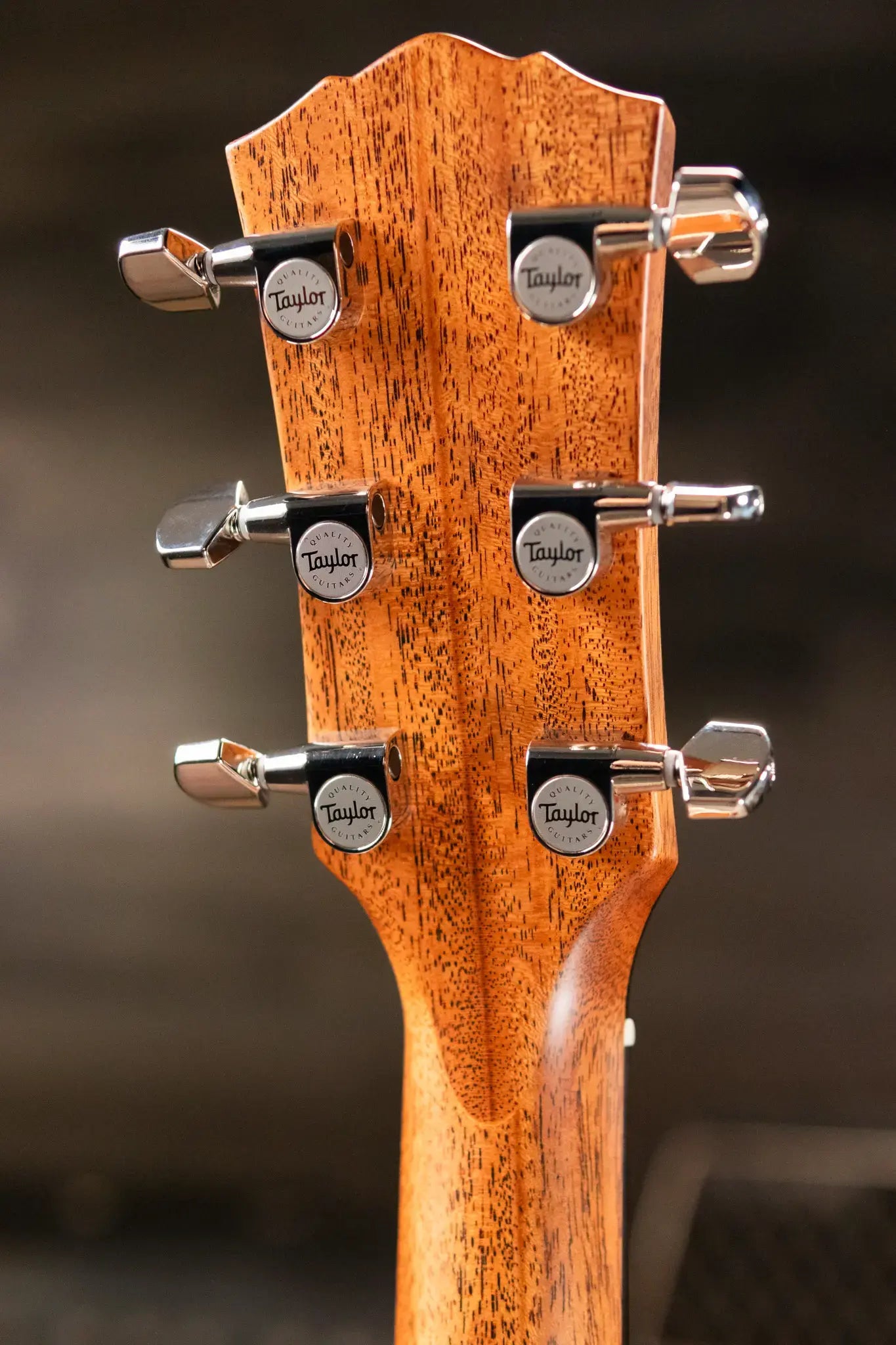 Taylor Gold Label 514e Super Auditorium Acoustic/Electric Guitar - Sunburst with Cream Pickguard and Hardshell Case