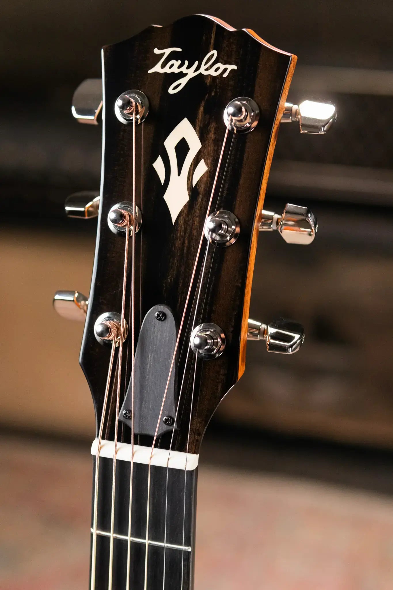 Taylor Gold Label 514e Super Auditorium Acoustic/Electric Guitar with Hardshell Case