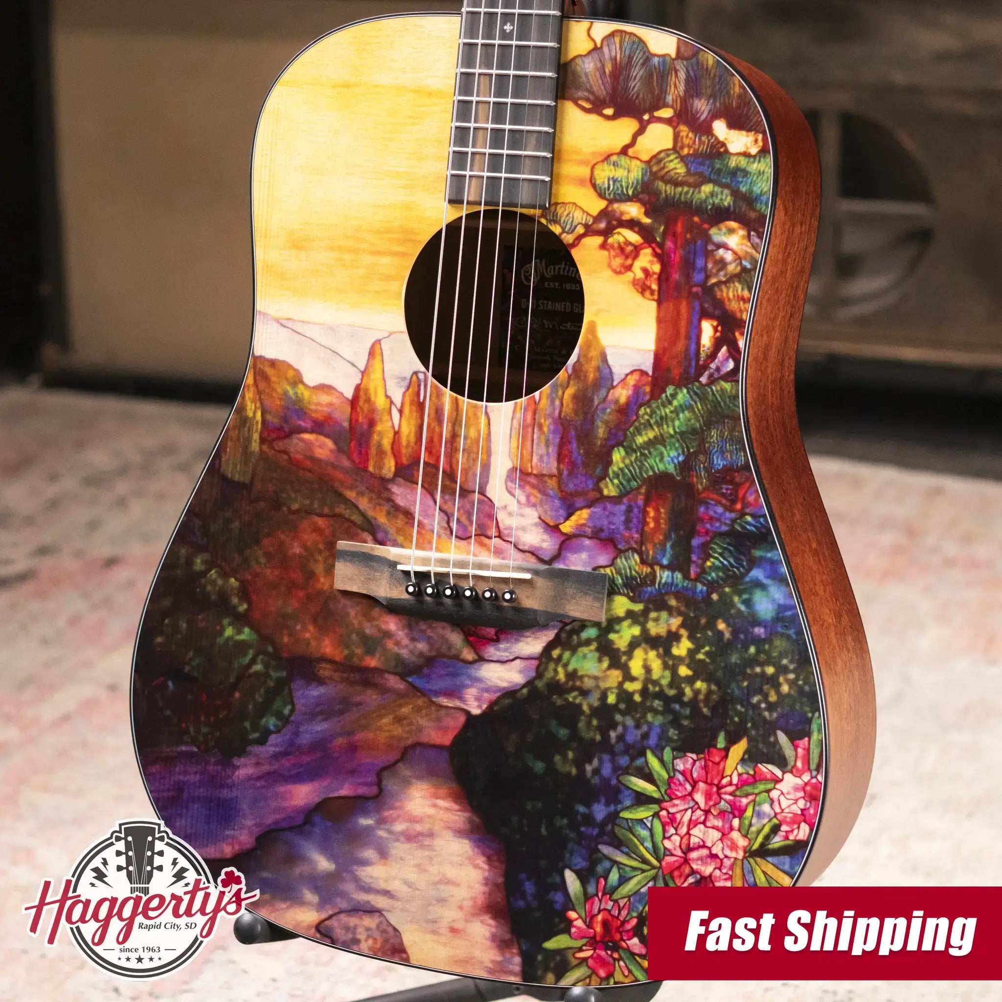 Martin D-11 Acoustic Guitar - Stained Glass with Gig Bag