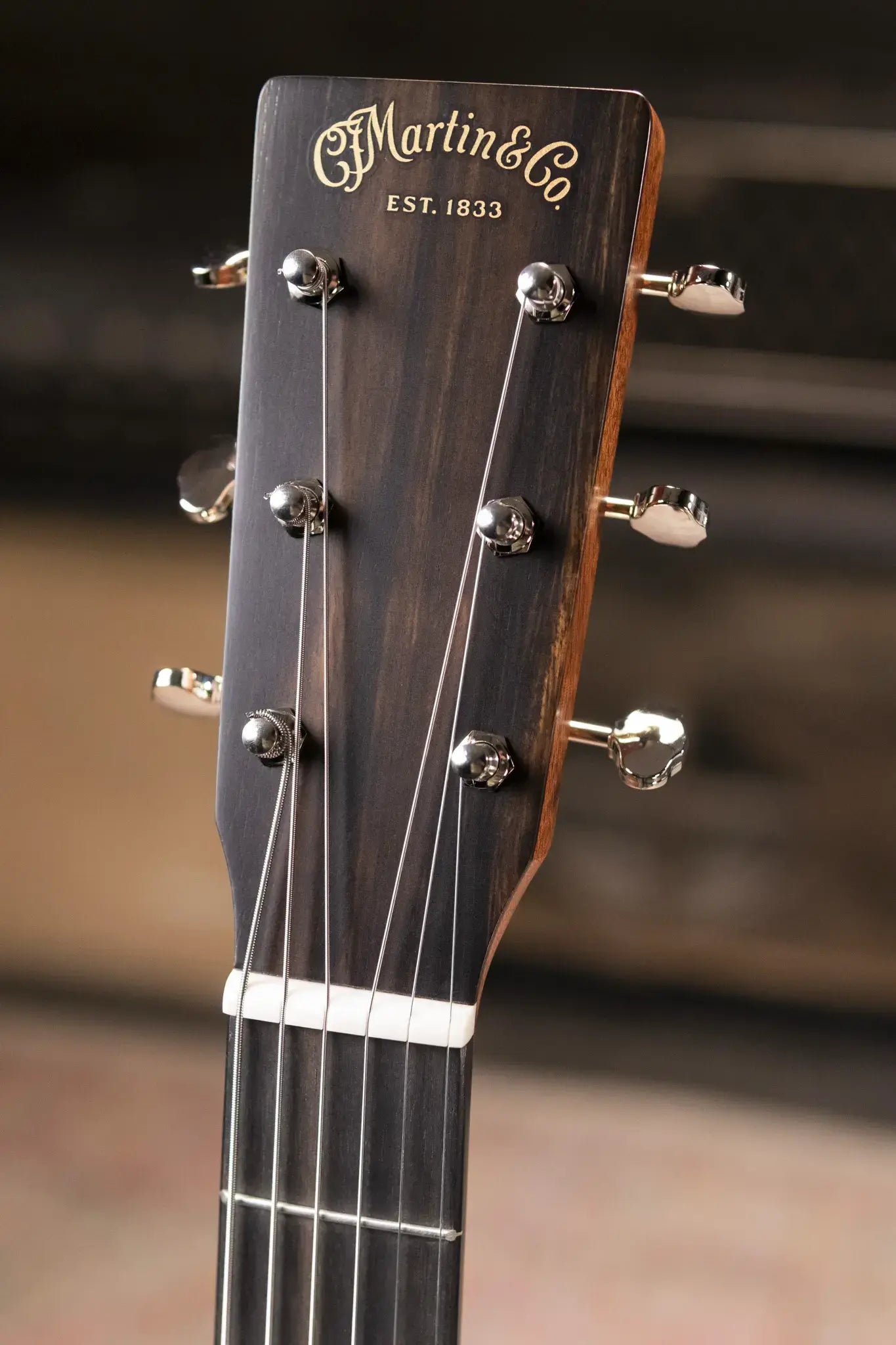 Martin D-11 Acoustic Guitar - Stained Glass with Gig Bag