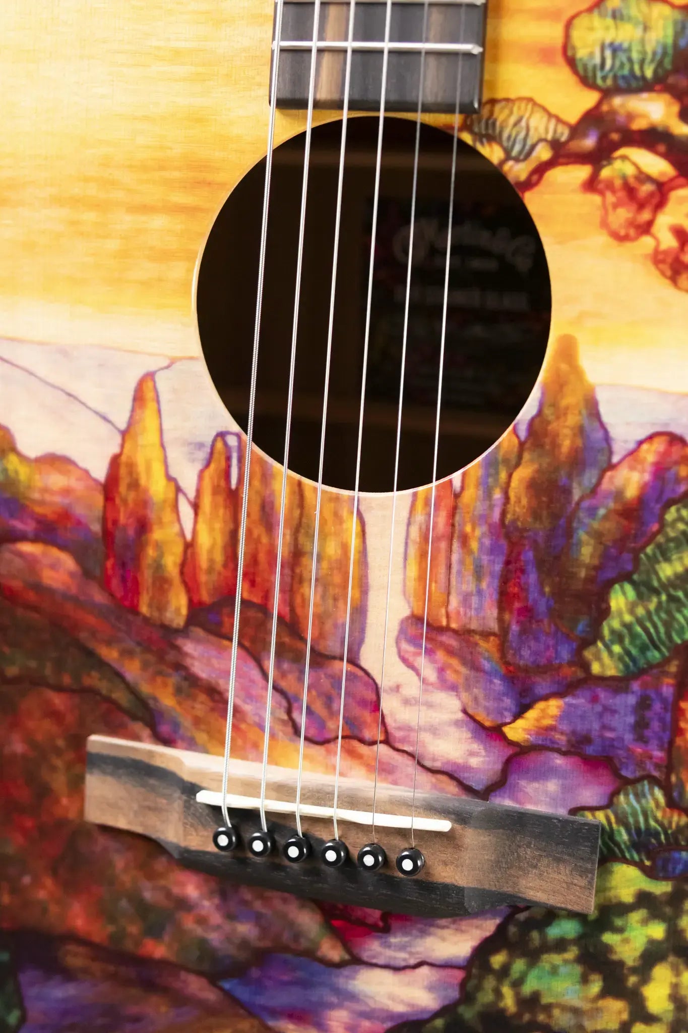 Martin D-11 Acoustic Guitar - Stained Glass with Gig Bag