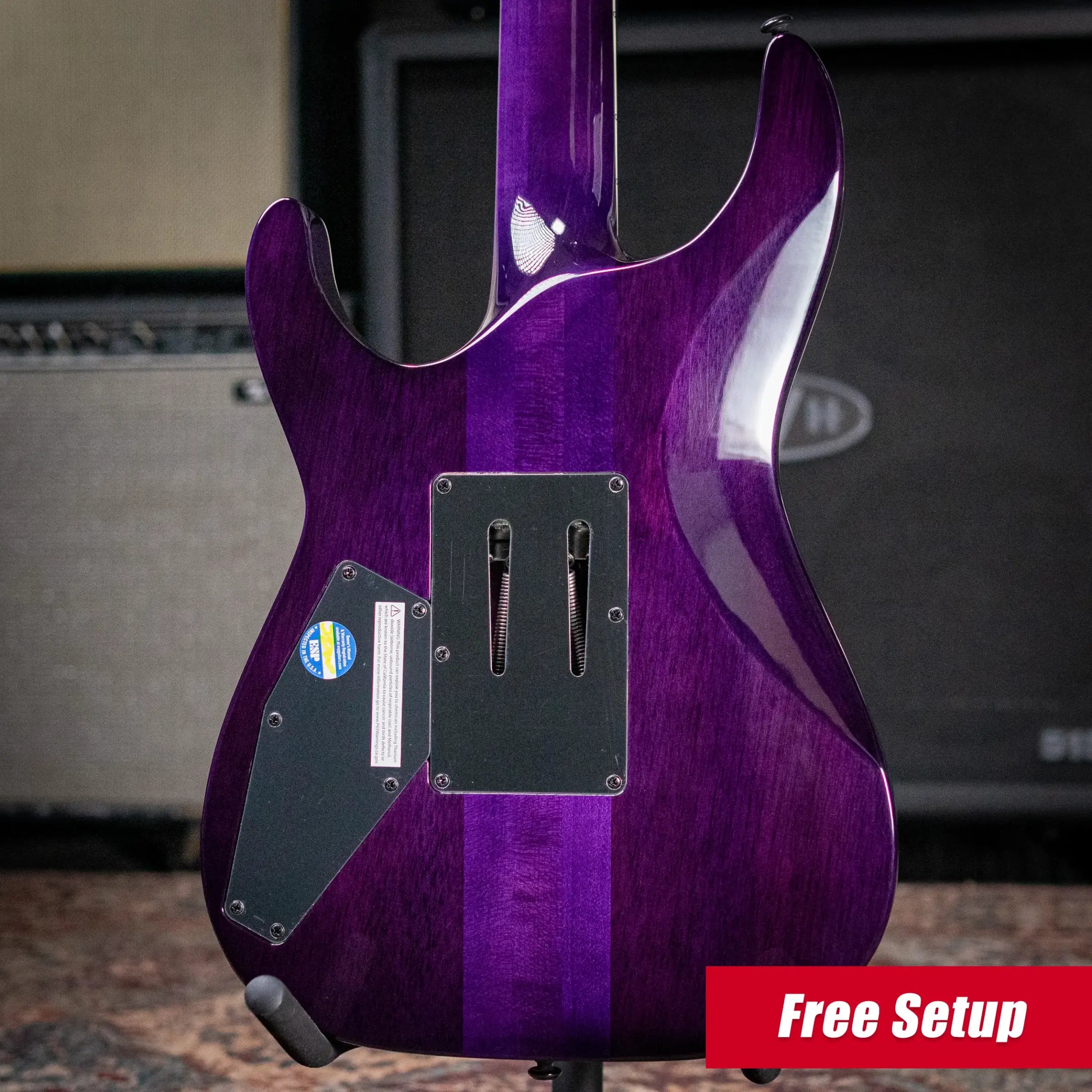 ESP LTD Andy LaRocque ALR-II Signature Electric Guitar - See-Thru Purple with Hardshell Case