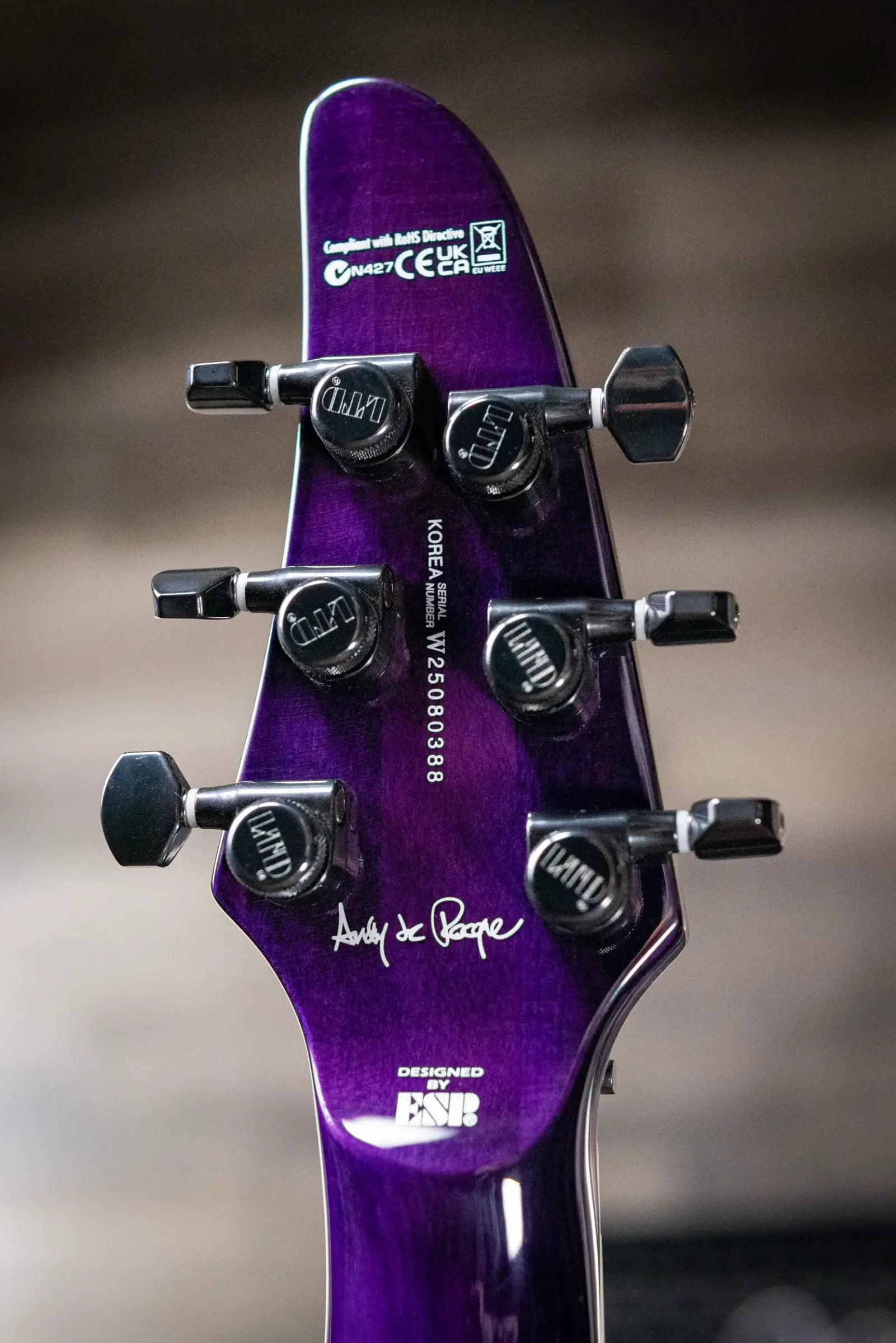 ESP LTD Andy LaRocque ALR-II Signature Electric Guitar - See-Thru Purple with Hardshell Case