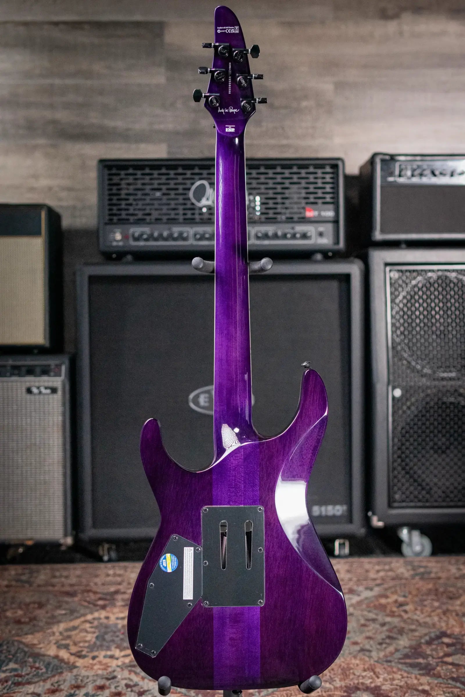 ESP LTD Andy LaRocque ALR-II Signature Electric Guitar - See-Thru Purple with Hardshell Case