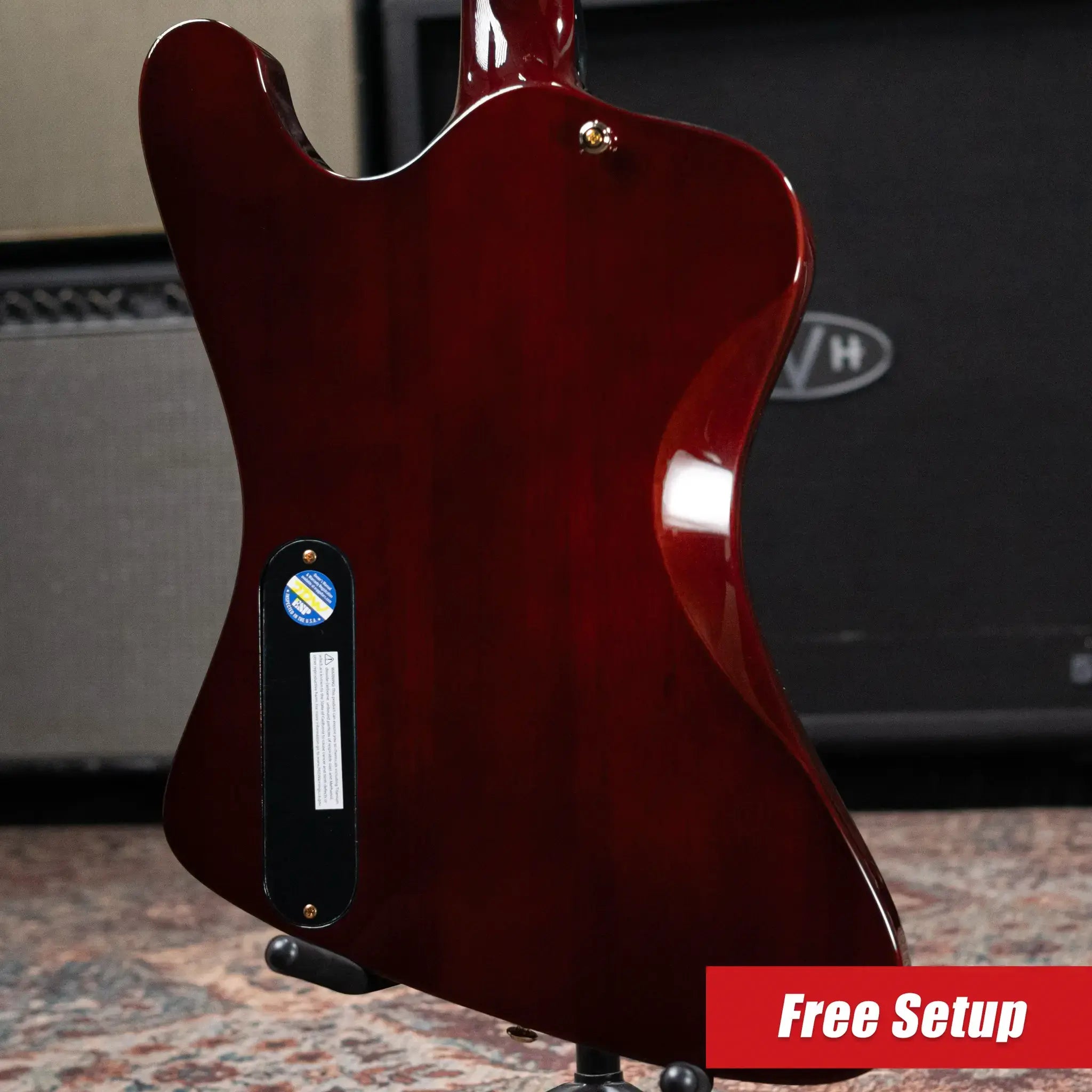 ESP LTD Caleb Shomo CS-II Phoenix Signature Electric Guitar - Vintage Natural with Hardshell Case