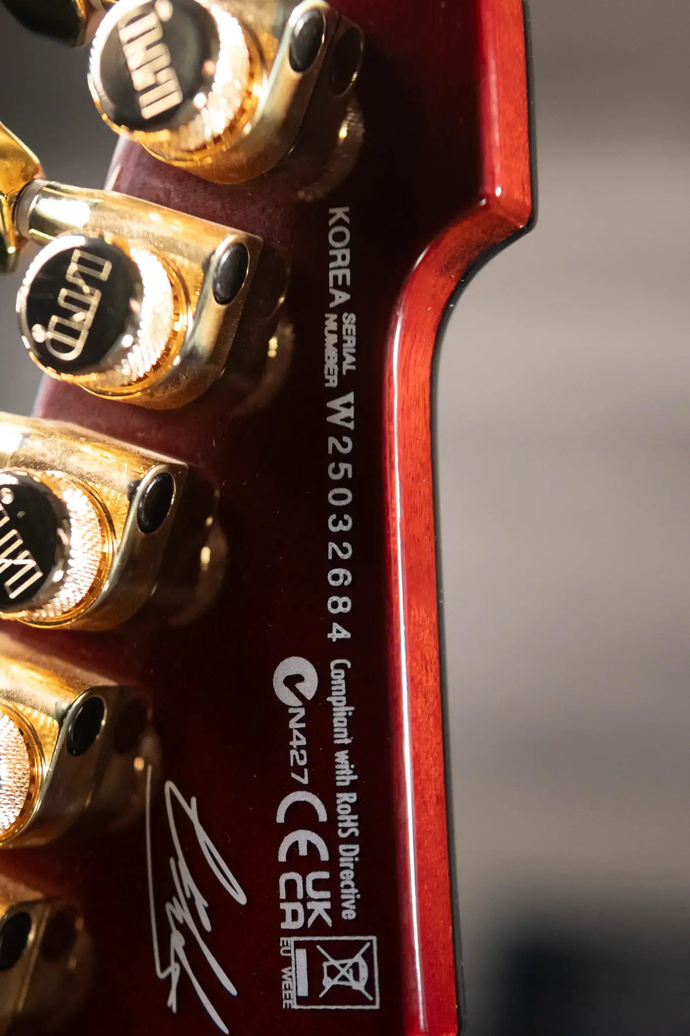 ESP LTD Caleb Shomo CS-II Phoenix Signature Electric Guitar - Vintage Natural with Hardshell Case