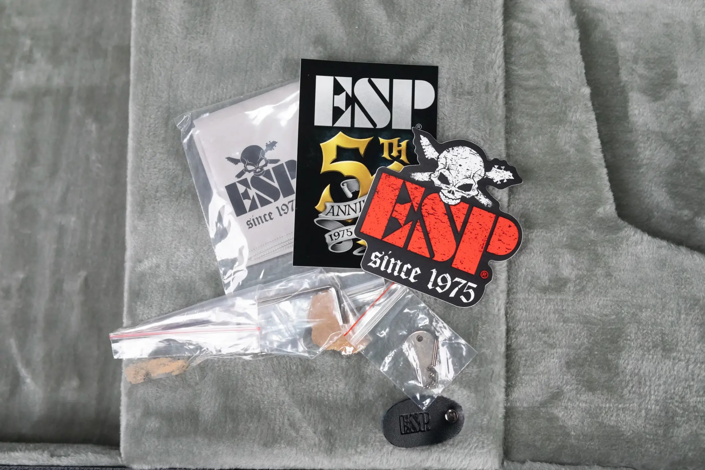 ESP LTD James Hetfield Signature Snakebyte Electric Guitar - Satin Black with Hardshell Case