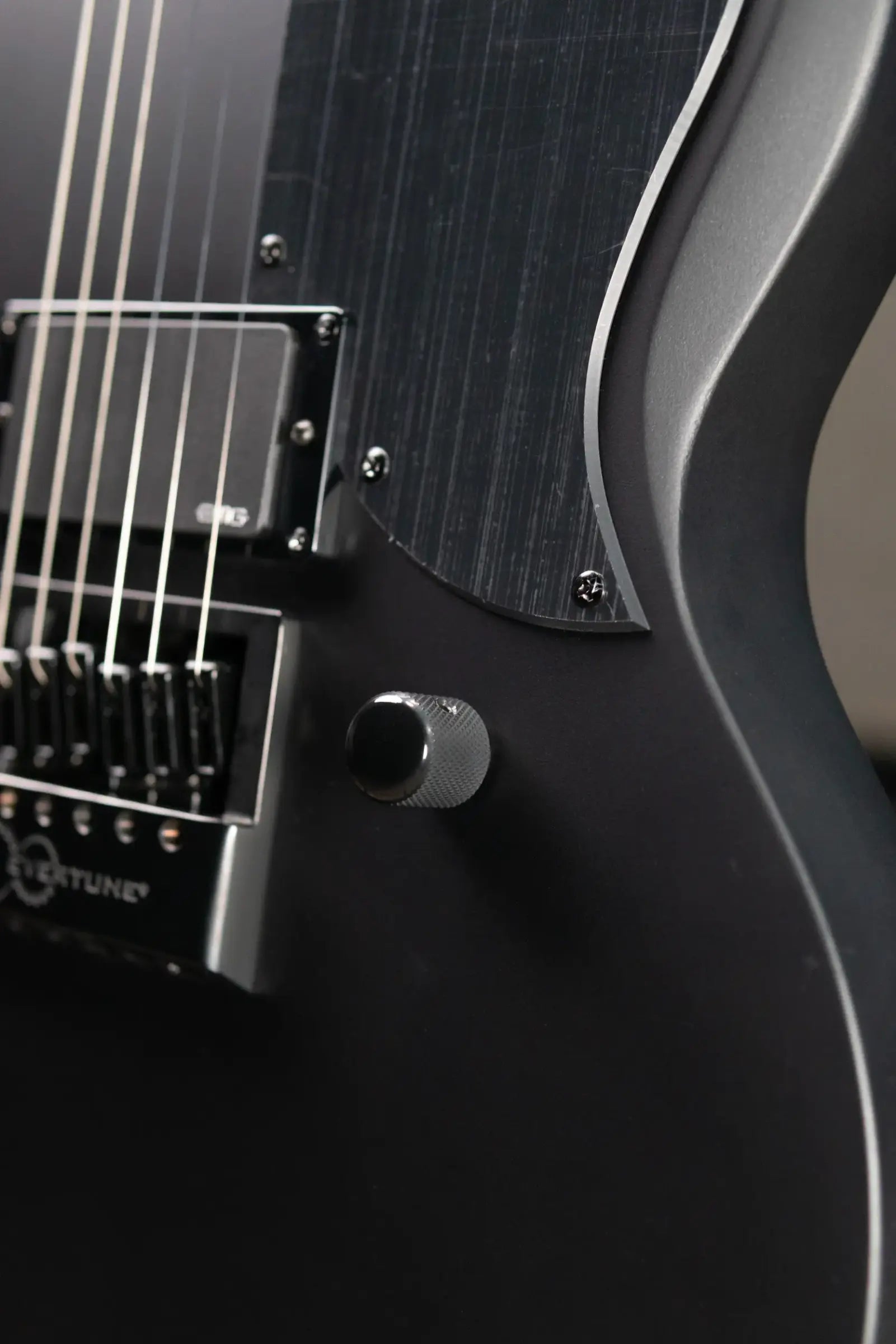 ESP LTD Viper-1001 Evertune Electric Guitar - Charcoal Metallic Satin