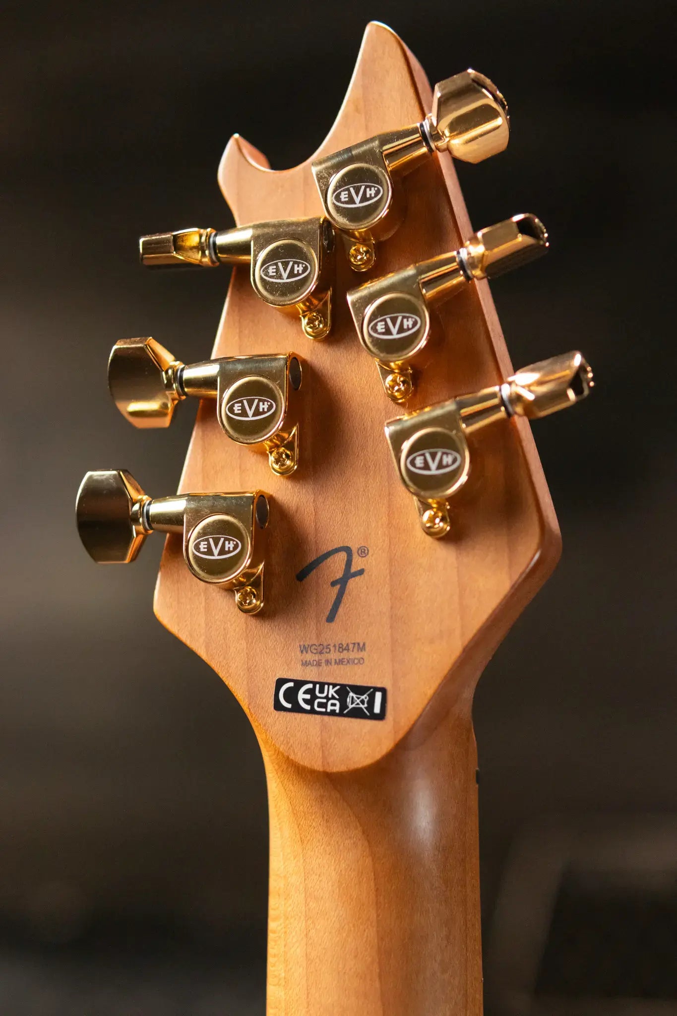EVH Wolfgang Special TOM Electric Guitar, Baked Maple Fingerboard - Oxblood