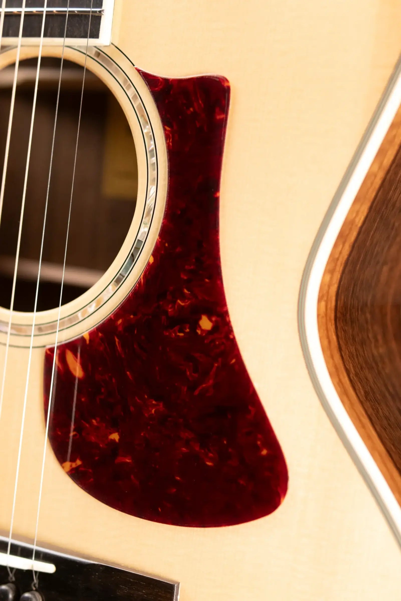 Eastman AC422CE-AE Acoustic/Electric Guitar with Hardshell Case