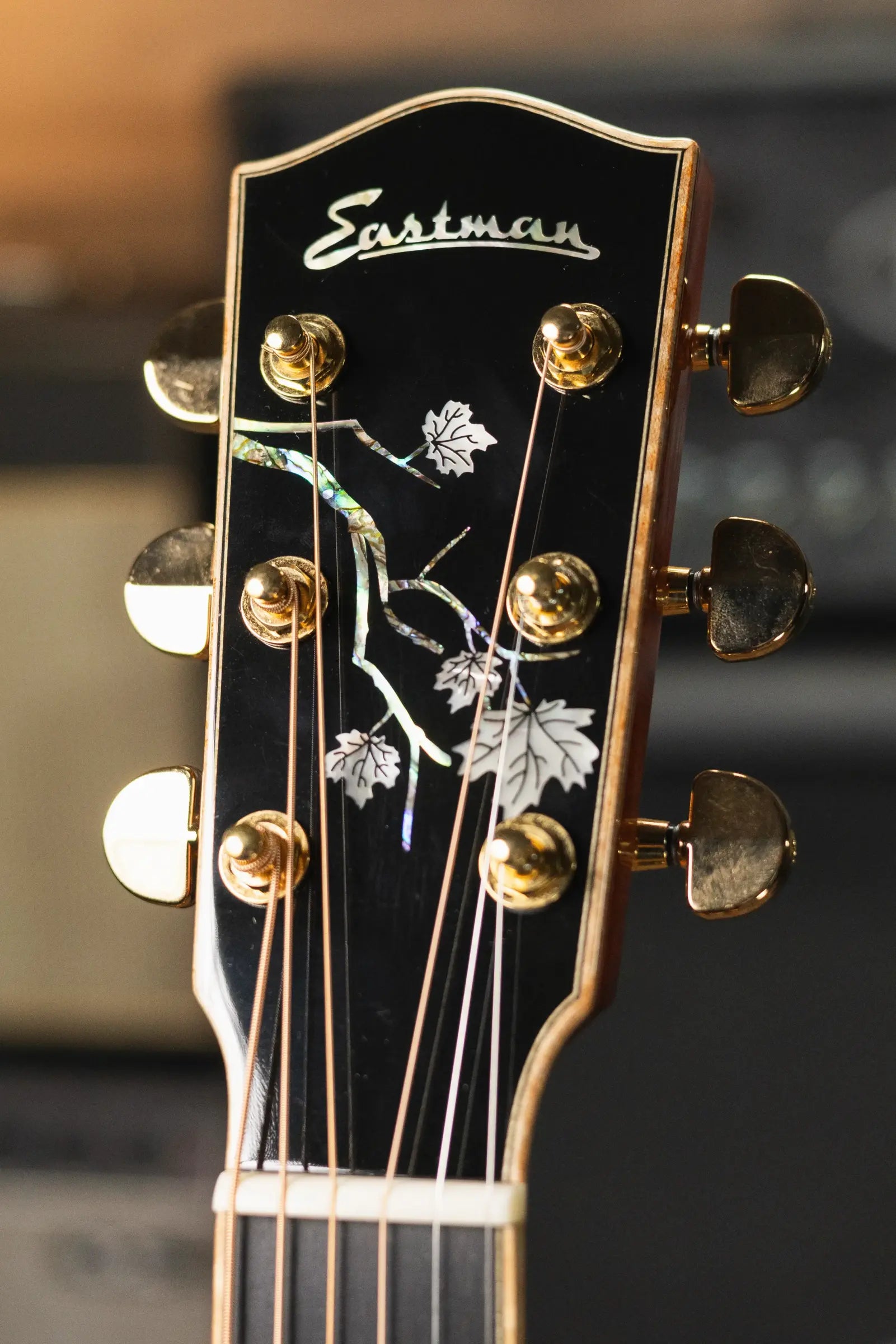 Eastman AC622CE Acoustic/Electric Guitar with Hardshell Case
