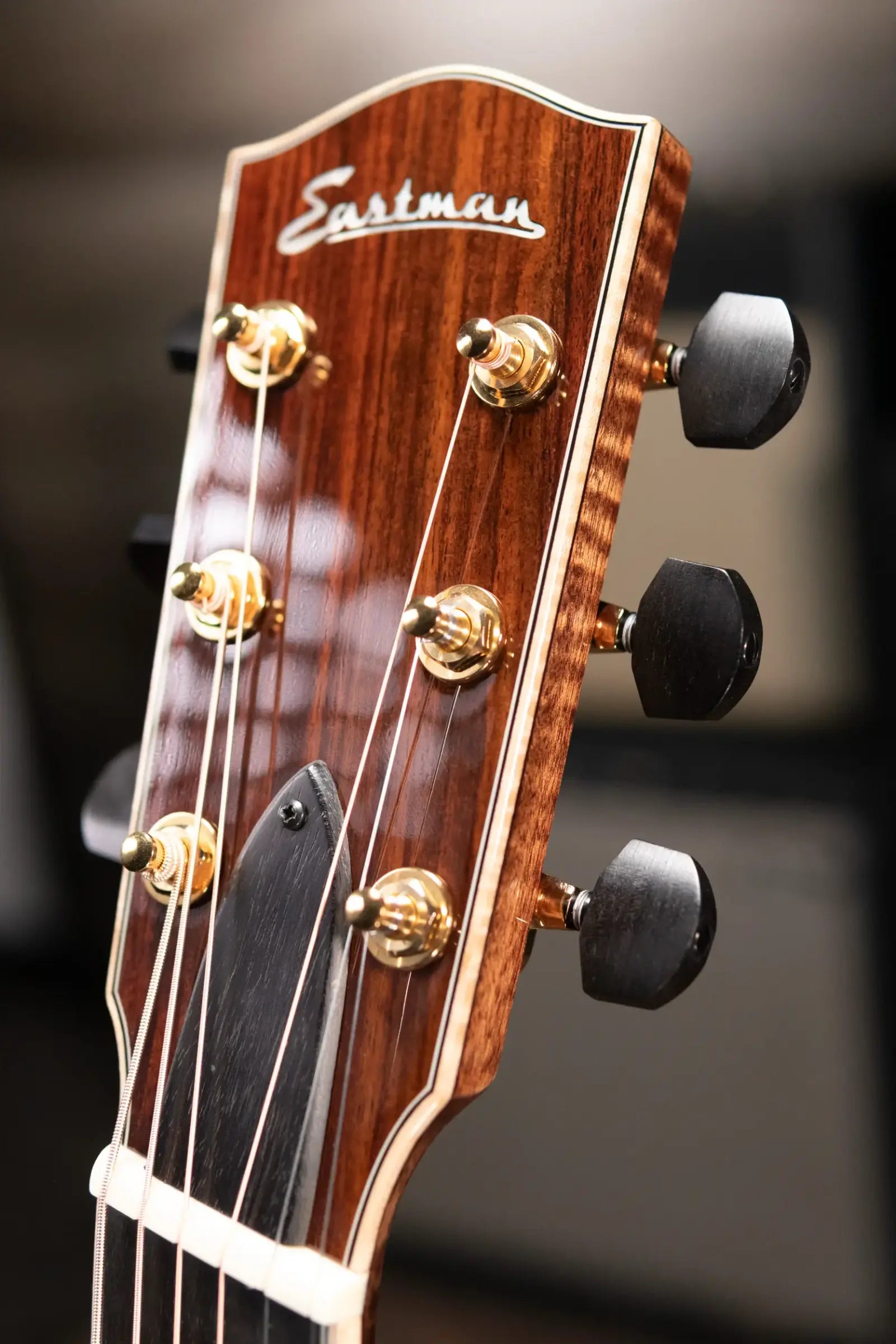 Eastman AC822CE-FF Fan Fret Grand Auditorium Acoustic/Electric Guitar with Hardshell Case