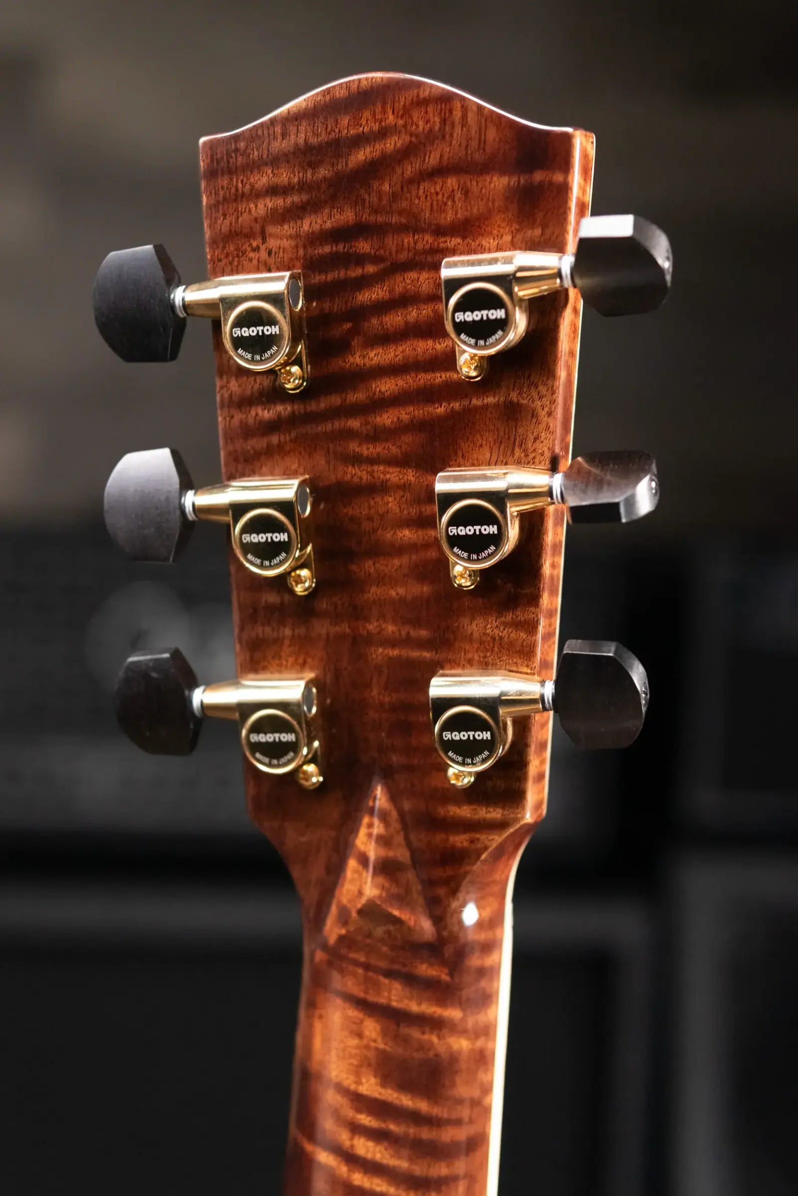 Eastman AC822CE-FF Fan Fret Grand Auditorium Acoustic/Electric Guitar with Hardshell Case