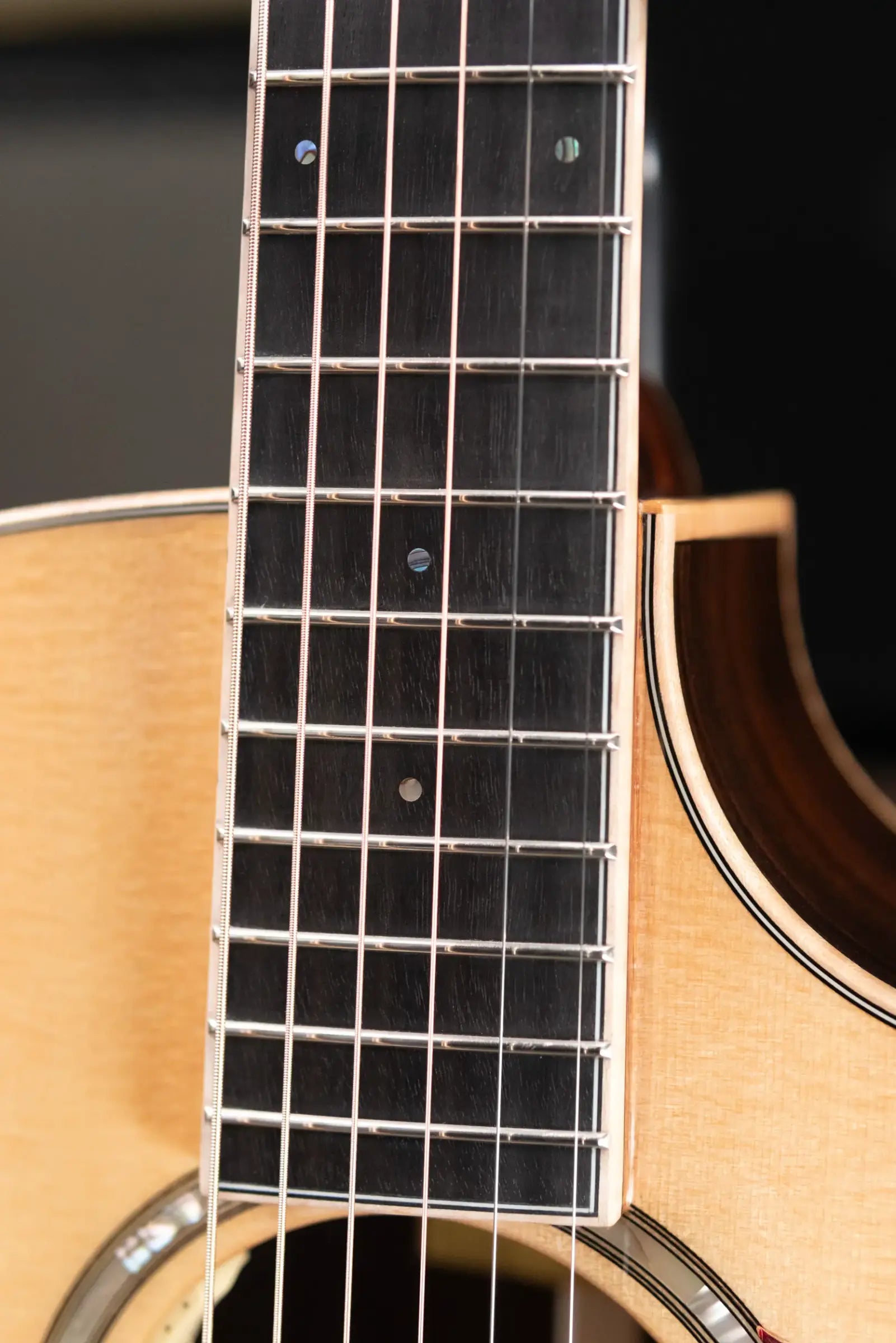 Eastman AC822CE-FF Fan Fret Grand Auditorium Acoustic/Electric Guitar with Hardshell Case