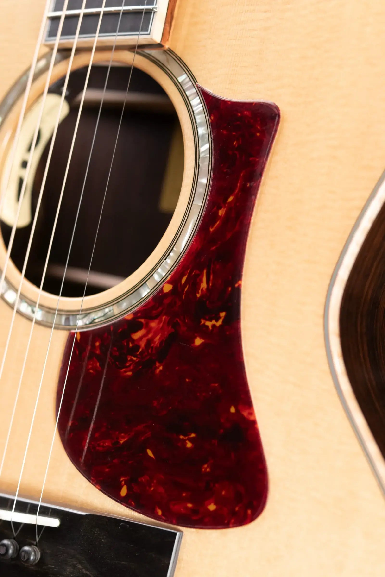 Eastman AC822CE-FF Fan Fret Grand Auditorium Acoustic/Electric Guitar with Hardshell Case