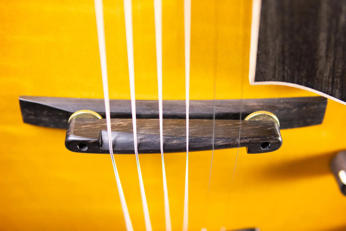 Eastman AR480CE-SB John Pisano Signature Archtop Hollowbody Electric Guitar - Sunburst with Hardshell Case