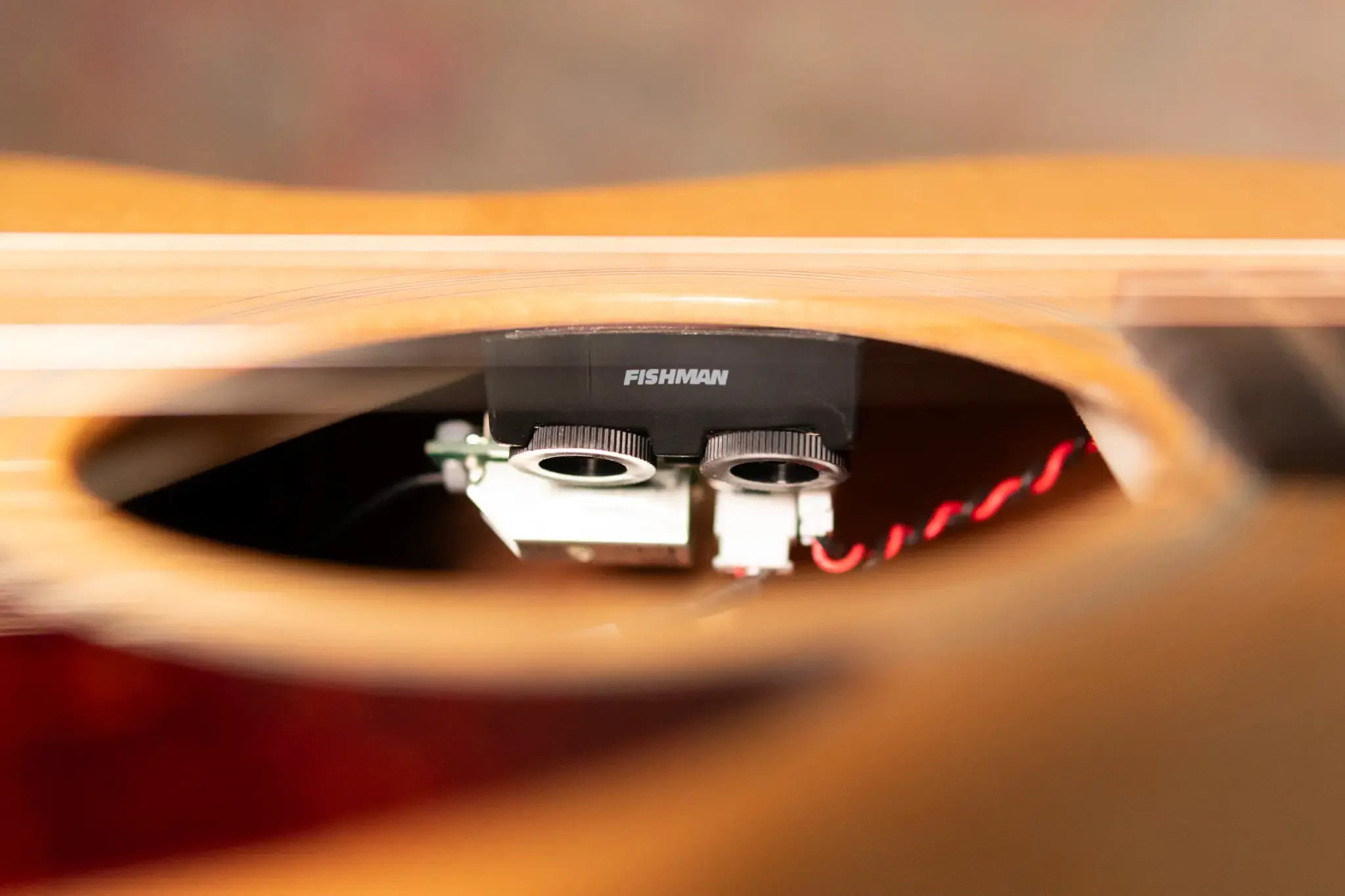 Eastman E1OMCE-DLX Acoustic/Electric Guitar