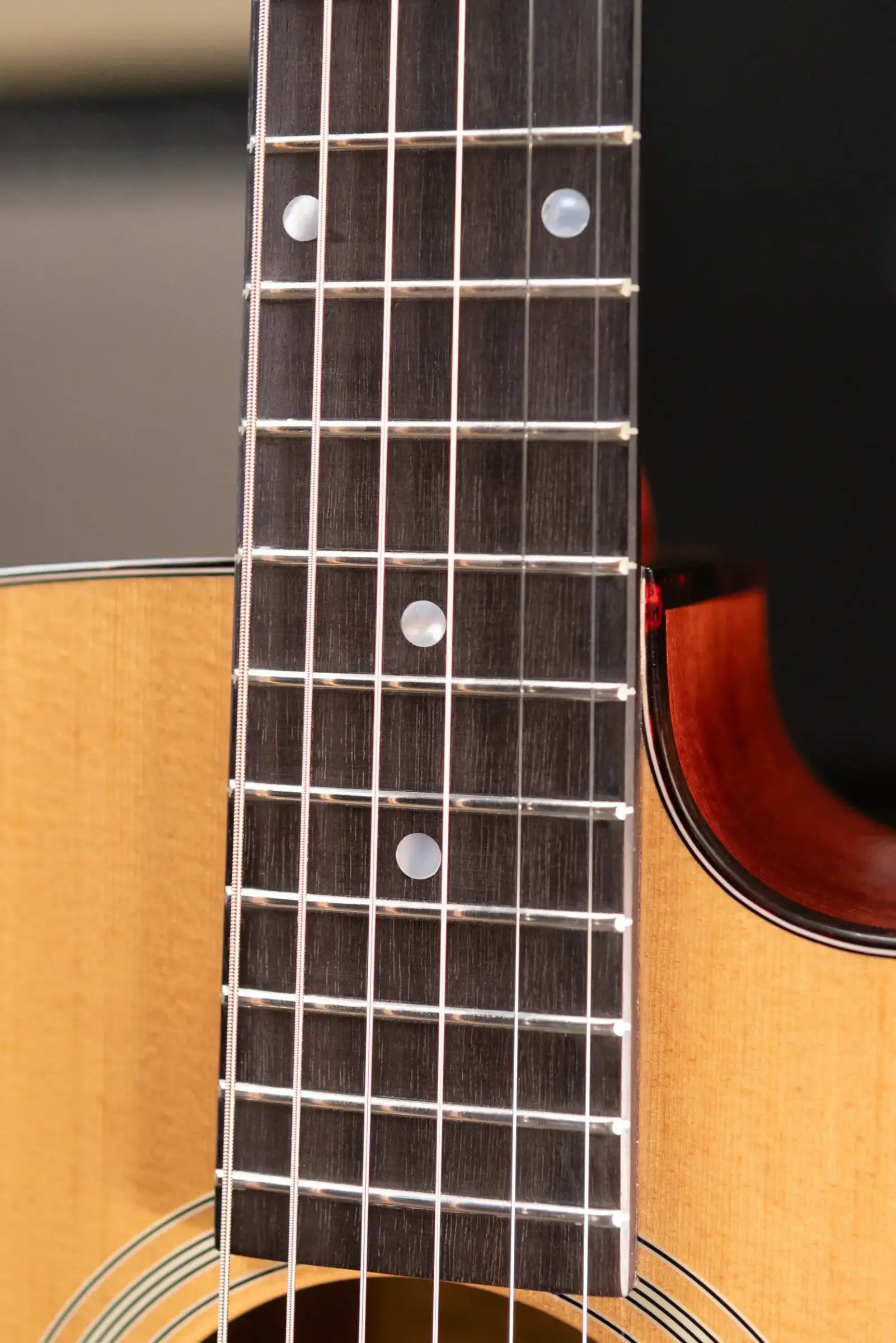 Eastman E1OMCE-DLX OM Acoustic/Electric Guitar with Gig Bag