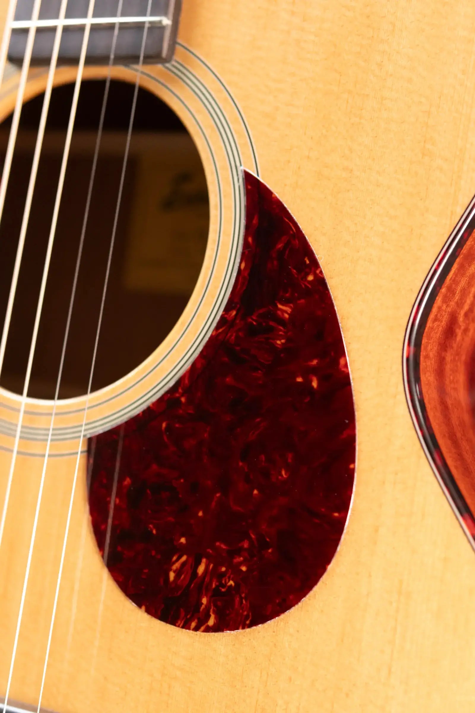 Eastman E1OMCE-DLX OM Acoustic/Electric Guitar with Gig Bag