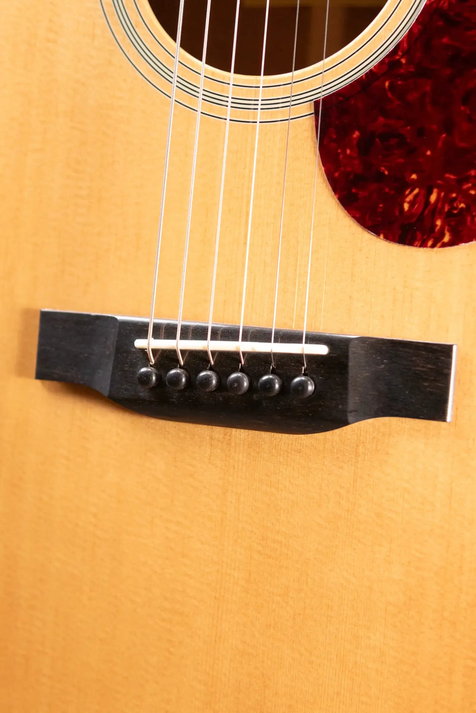 Eastman E1OMCE-DLX OM Acoustic/Electric Guitar with Gig Bag