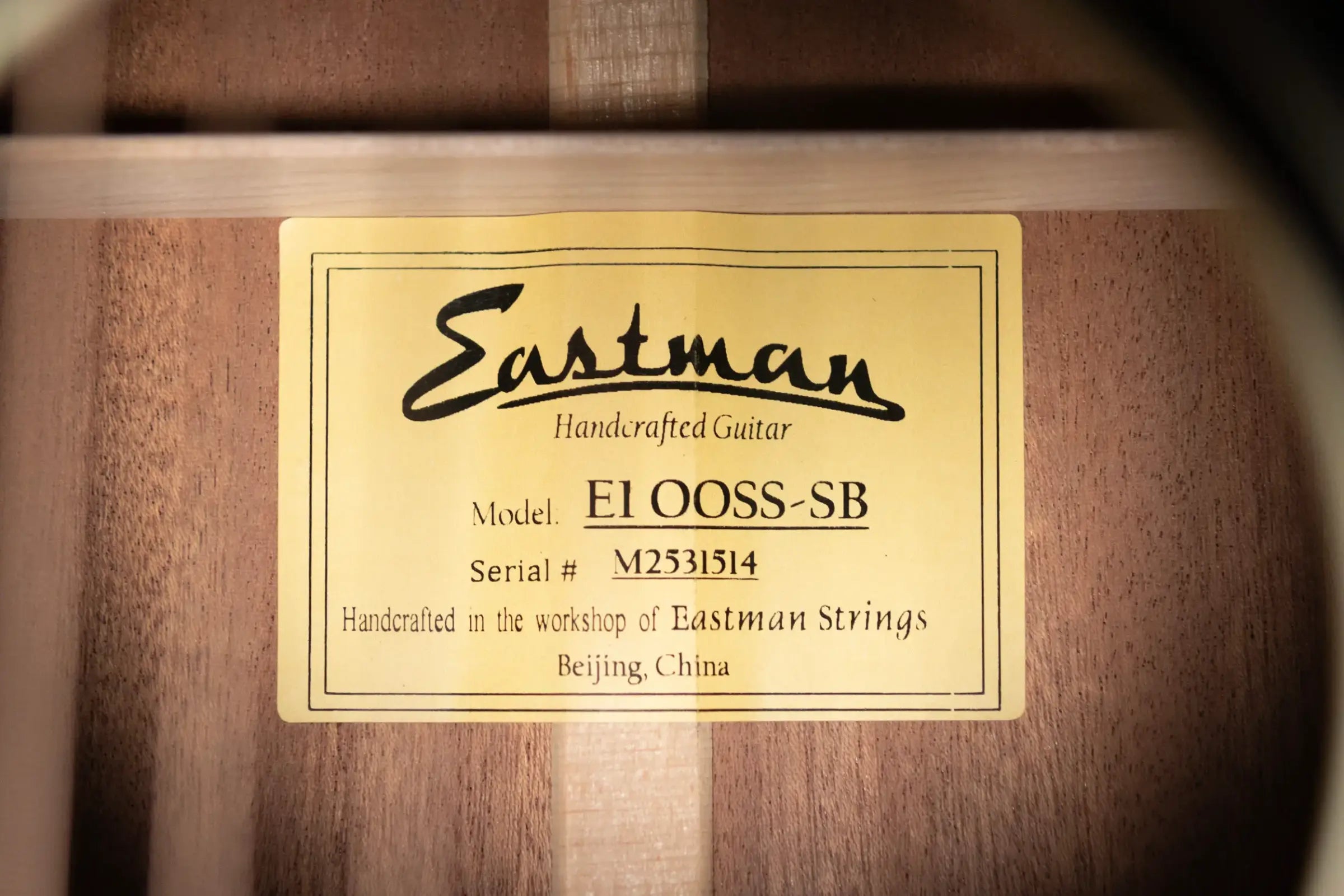 Eastman E1OOSS-SB Acoustic Guitar - Sunburst with Gig Bag