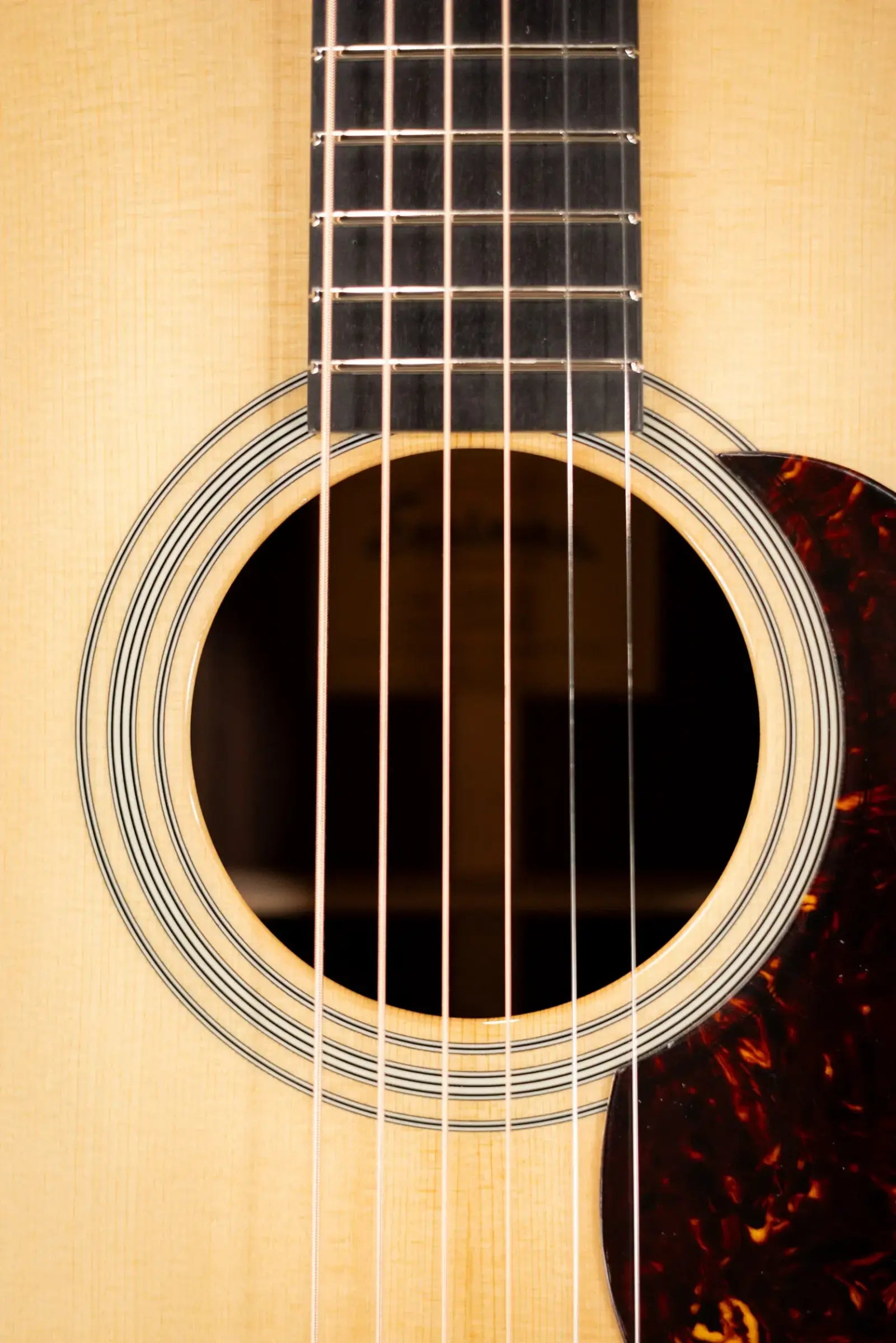 Eastman E20D-TC Thermo Cured Dreadnought Acoustic Guitar with Hardshell Case