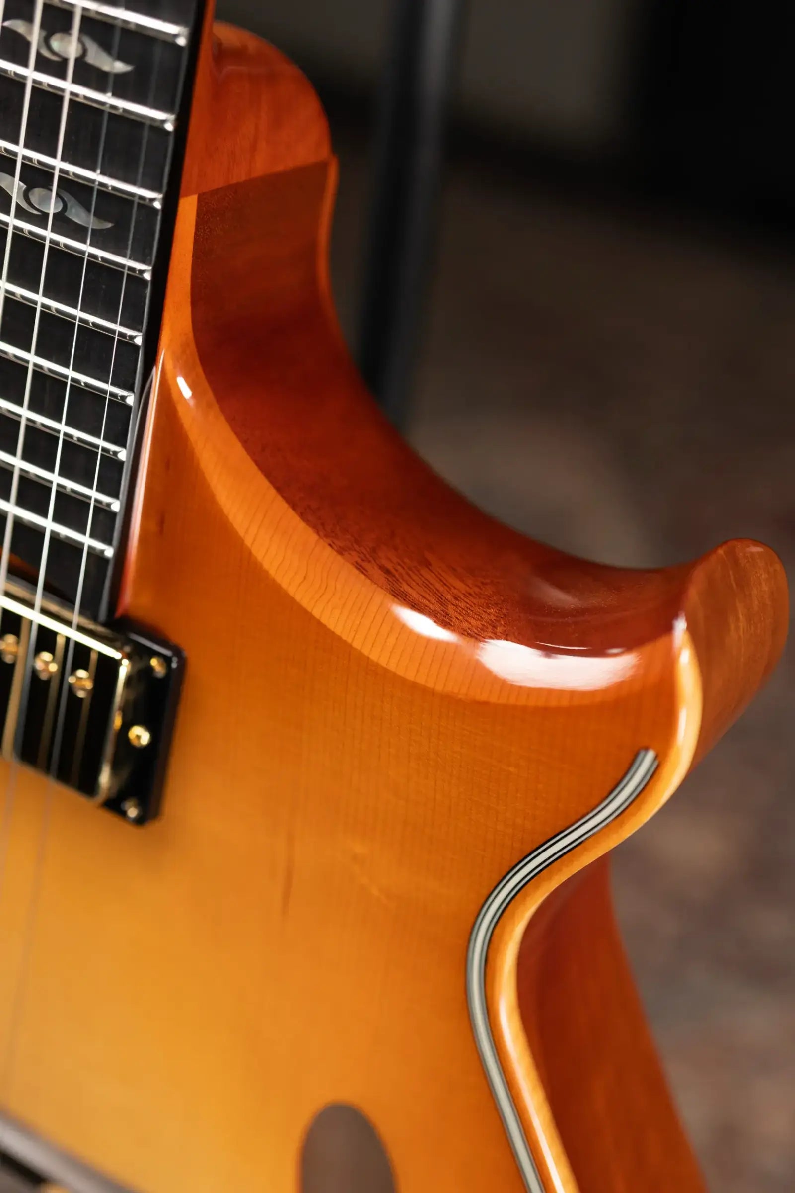 Eastman ER4 El Ray Otto D'ambrosio Signature Hollowbody Electric Guitar - Pomonaburst with Hardshell Case