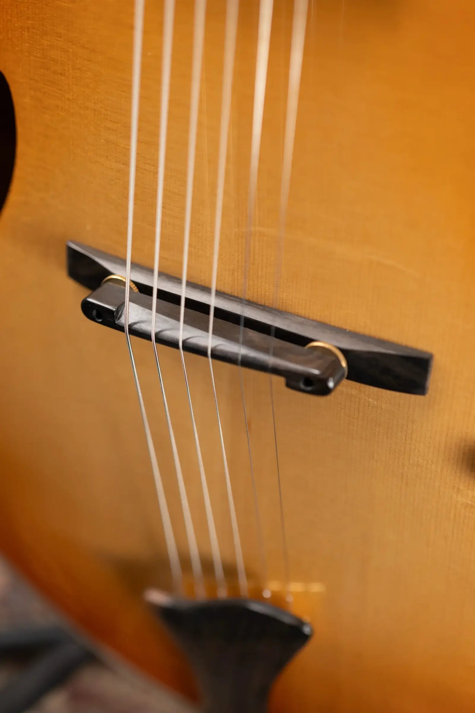 Eastman ER4 El Ray Otto D'ambrosio Signature Hollowbody Electric Guitar - Pomonaburst with Hardshell Case