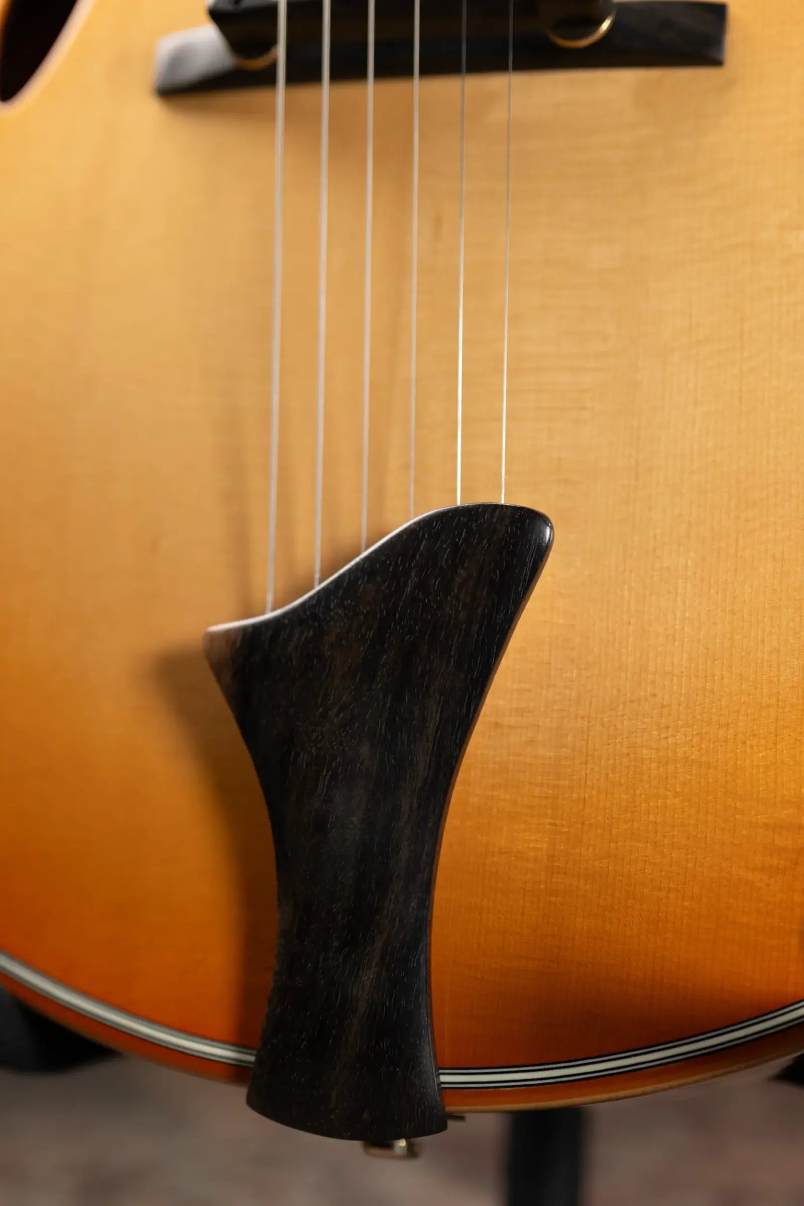 Eastman ER4 El Ray Otto D'ambrosio Signature Hollowbody Electric Guitar - Pomonaburst with Hardshell Case