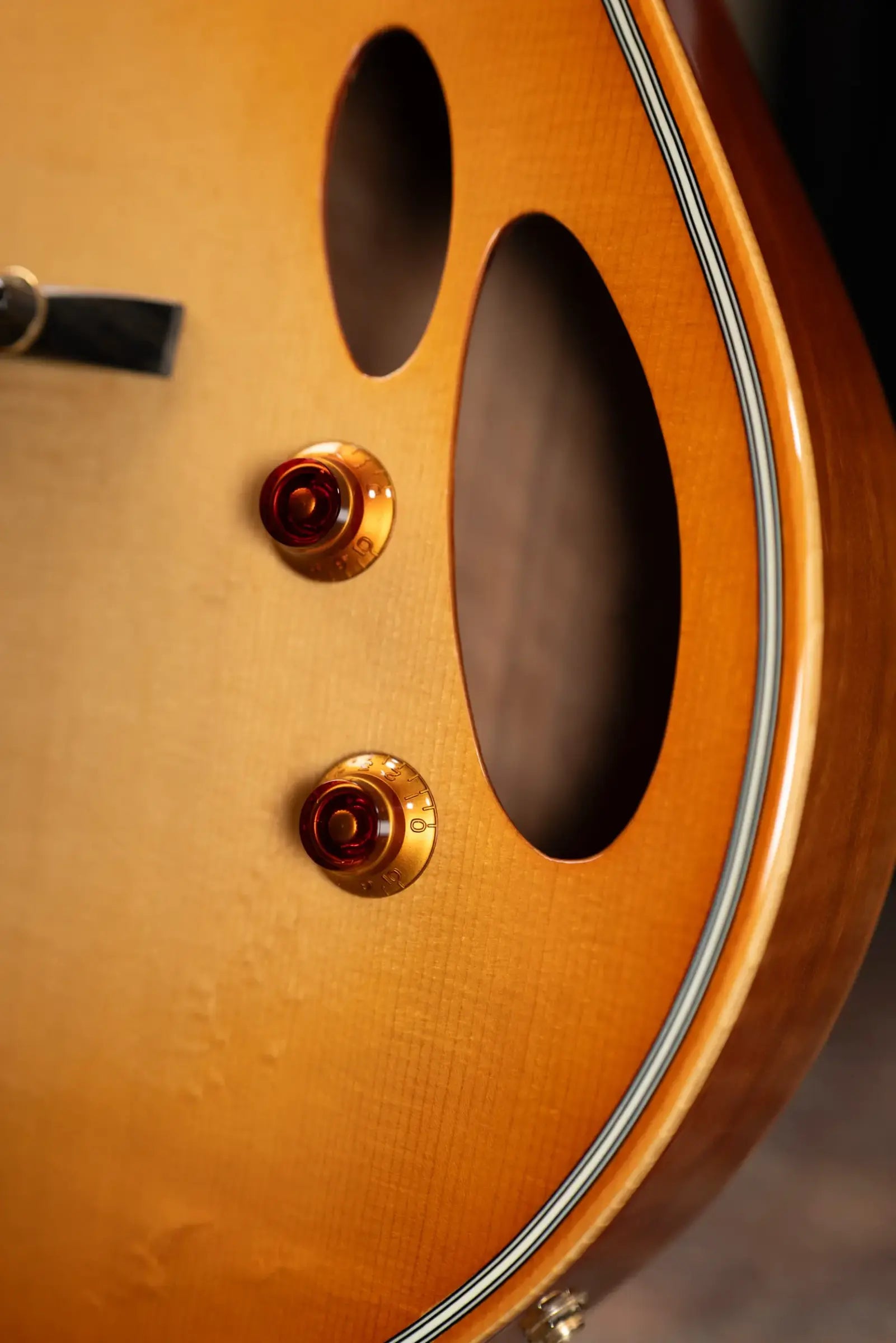 Eastman ER4 El Ray Otto D'ambrosio Signature Hollowbody Electric Guitar - Pomonaburst with Hardshell Case