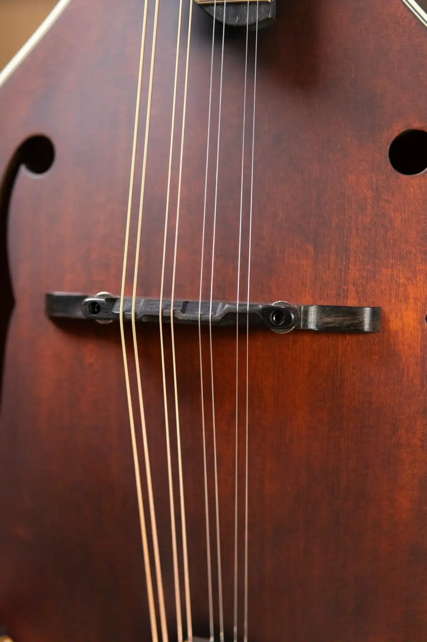 Eastman MD305 A-Style Mandolin, Classic Finish with Soft Case