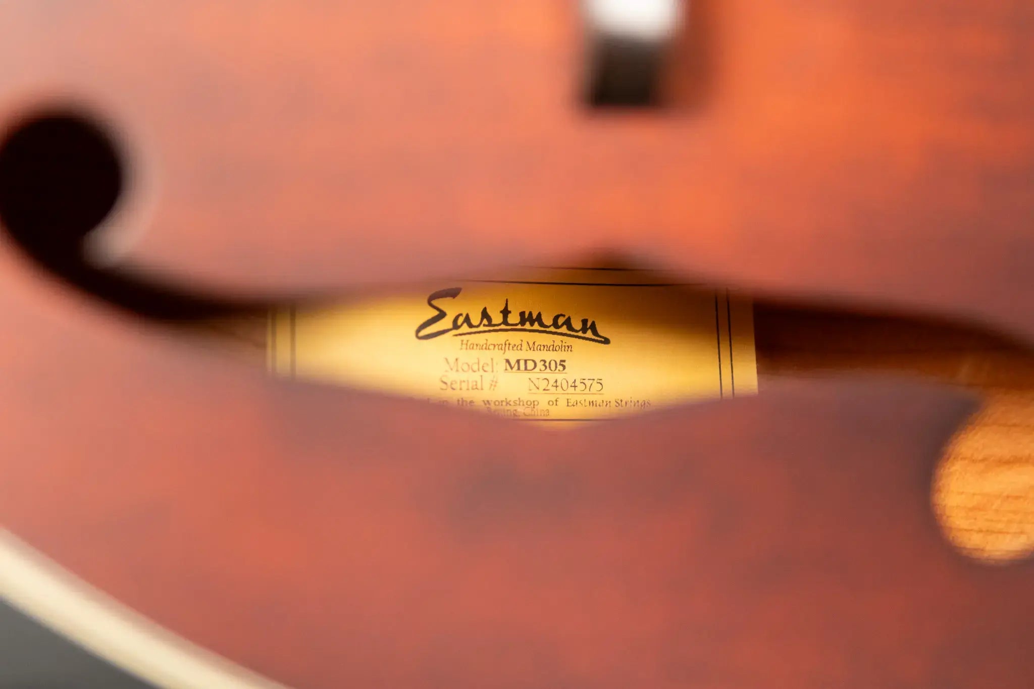 Eastman MD305 A-Style Mandolin, Classic Finish with Soft Case