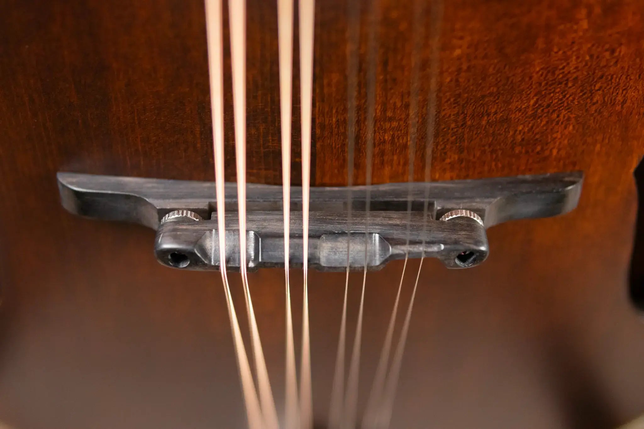 Eastman MD305 A-Style Mandolin - Classic Finish with Soft Case