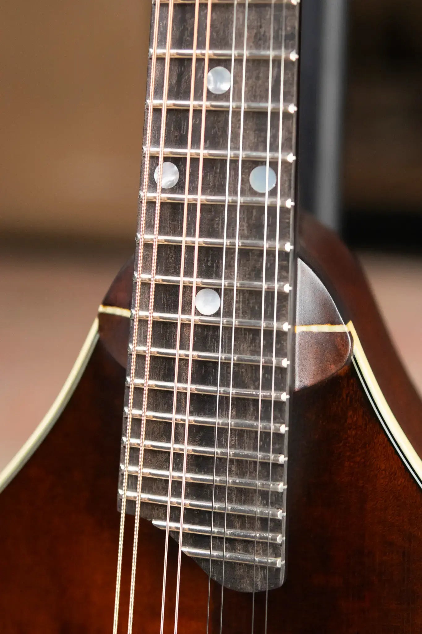 Eastman MD305 A-Style Mandolin - Classic Finish with Soft Case