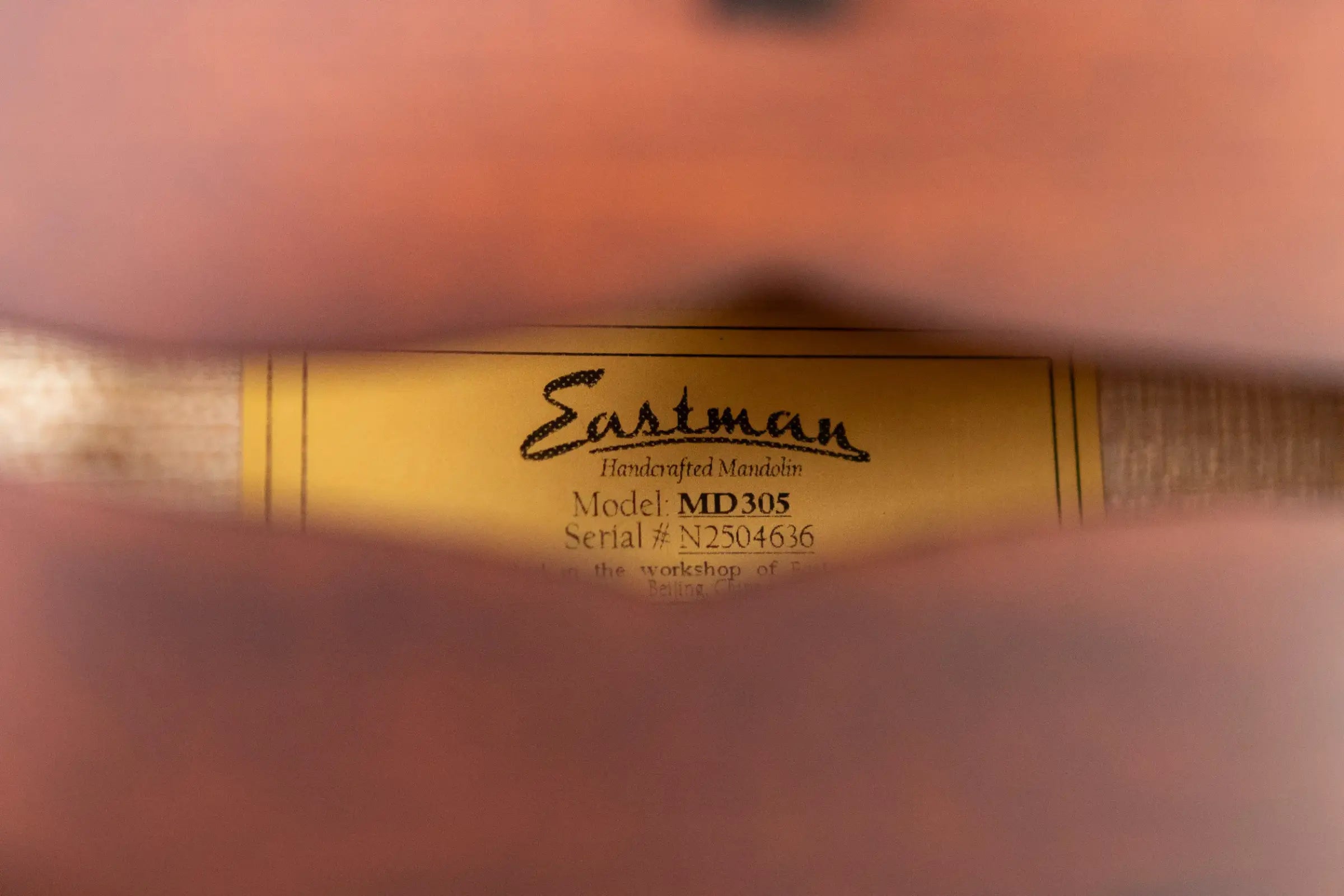 Eastman MD305 A-Style Mandolin - Classic with Gig Bag