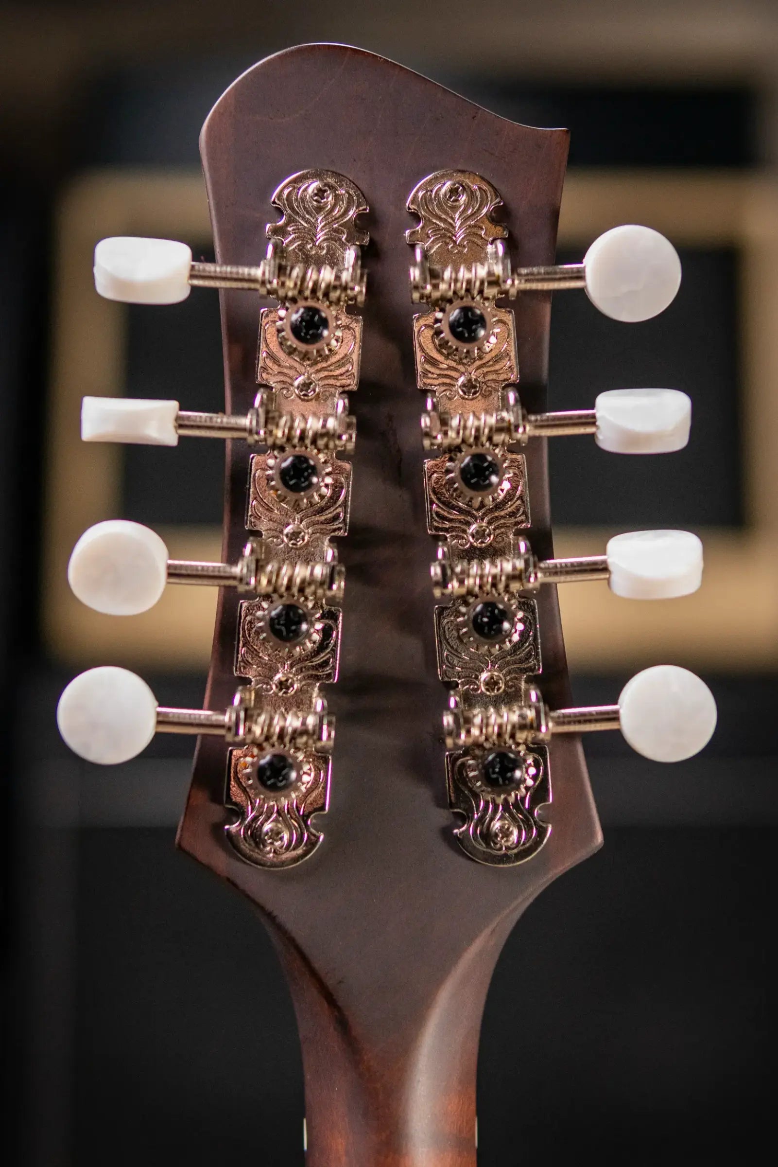 Eastman MD305 A-Style Mandolin with Gig Bag