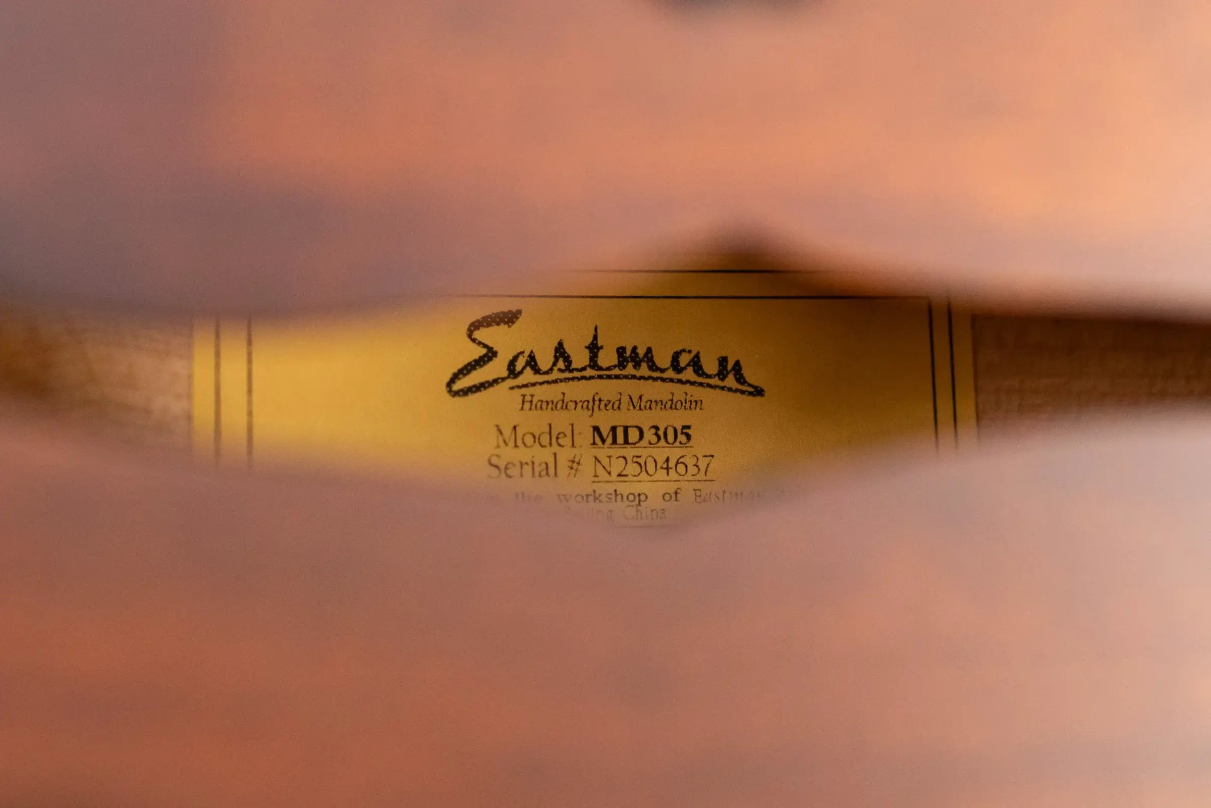 Eastman MD305 A-Style Mandolin with Gig Bag